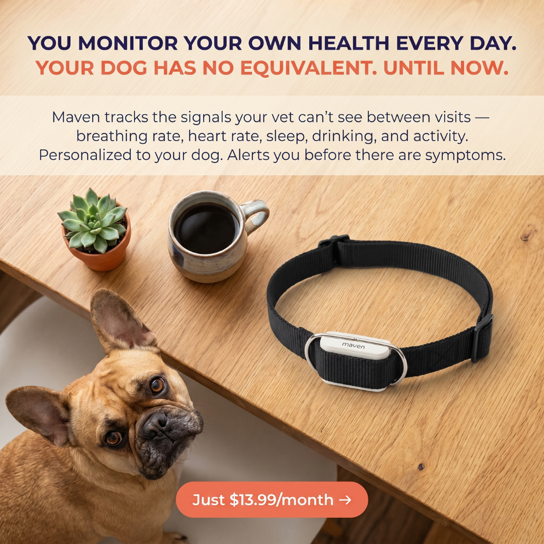 Maven Pet Facebook ad