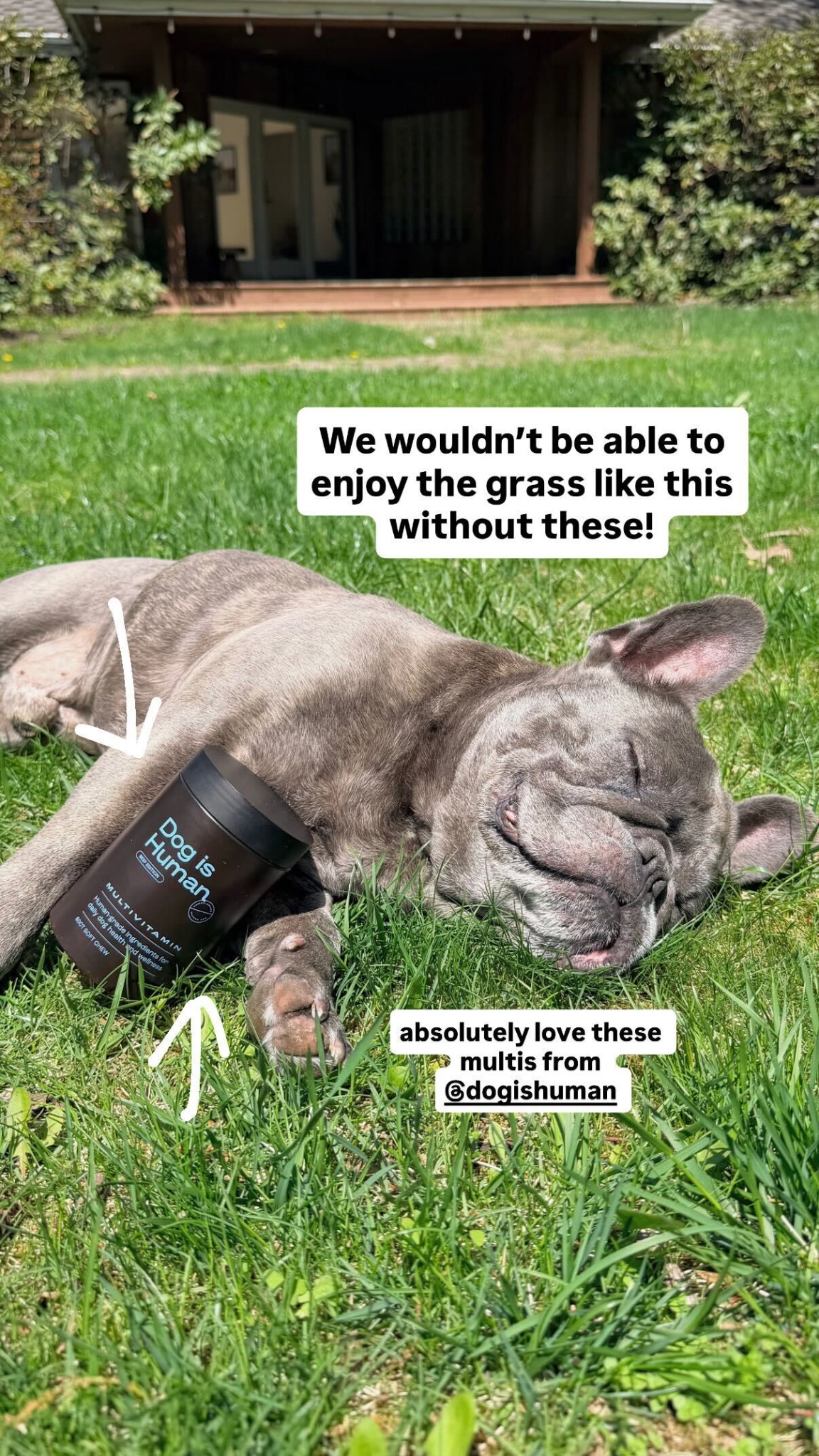 Dog is Human Facebook ad