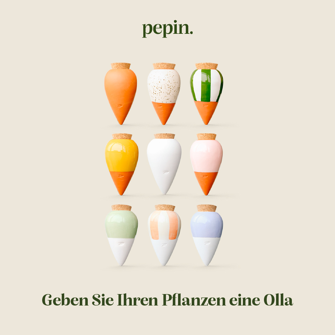 Pepin Facebook ad