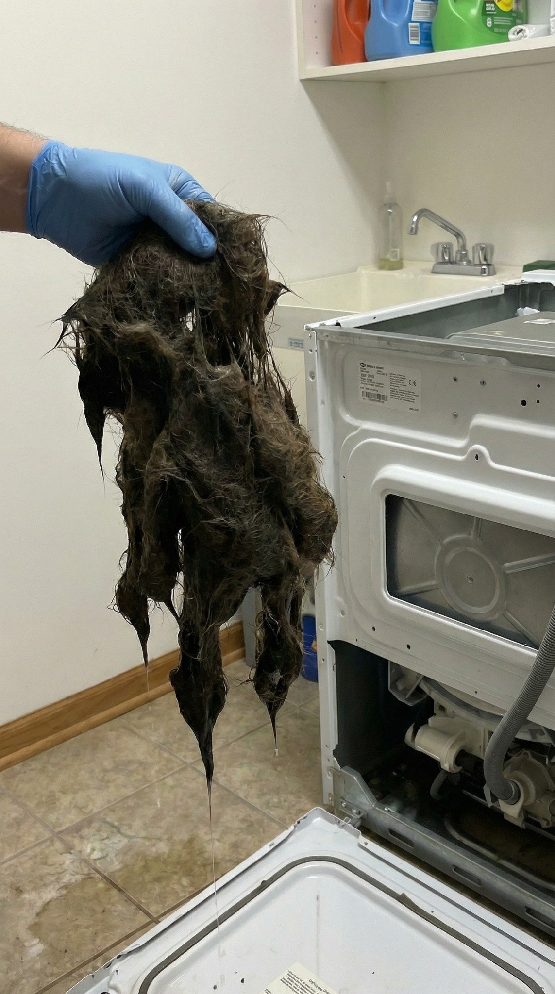James Walsh Facebook ad: Read this if pet hair is ruining your washing.