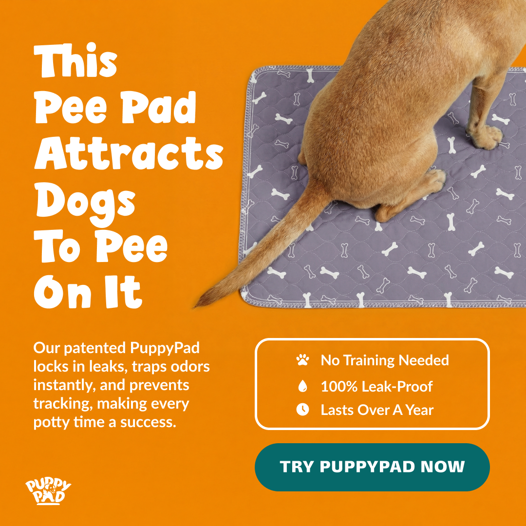 PuppyPad Facebook ad