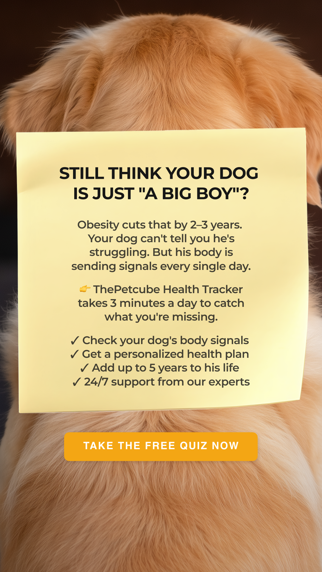 Petcube Facebook ad