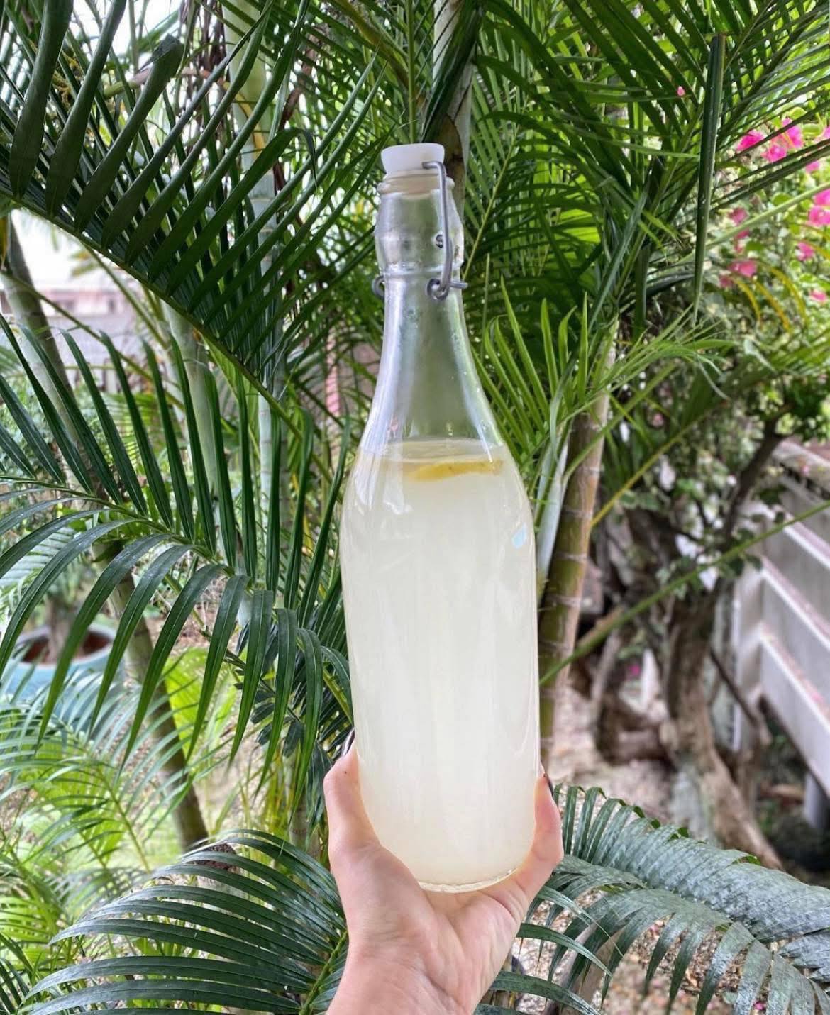 Dziễm Hương: Kombucha - Kefir & Organic Food Facebook ad