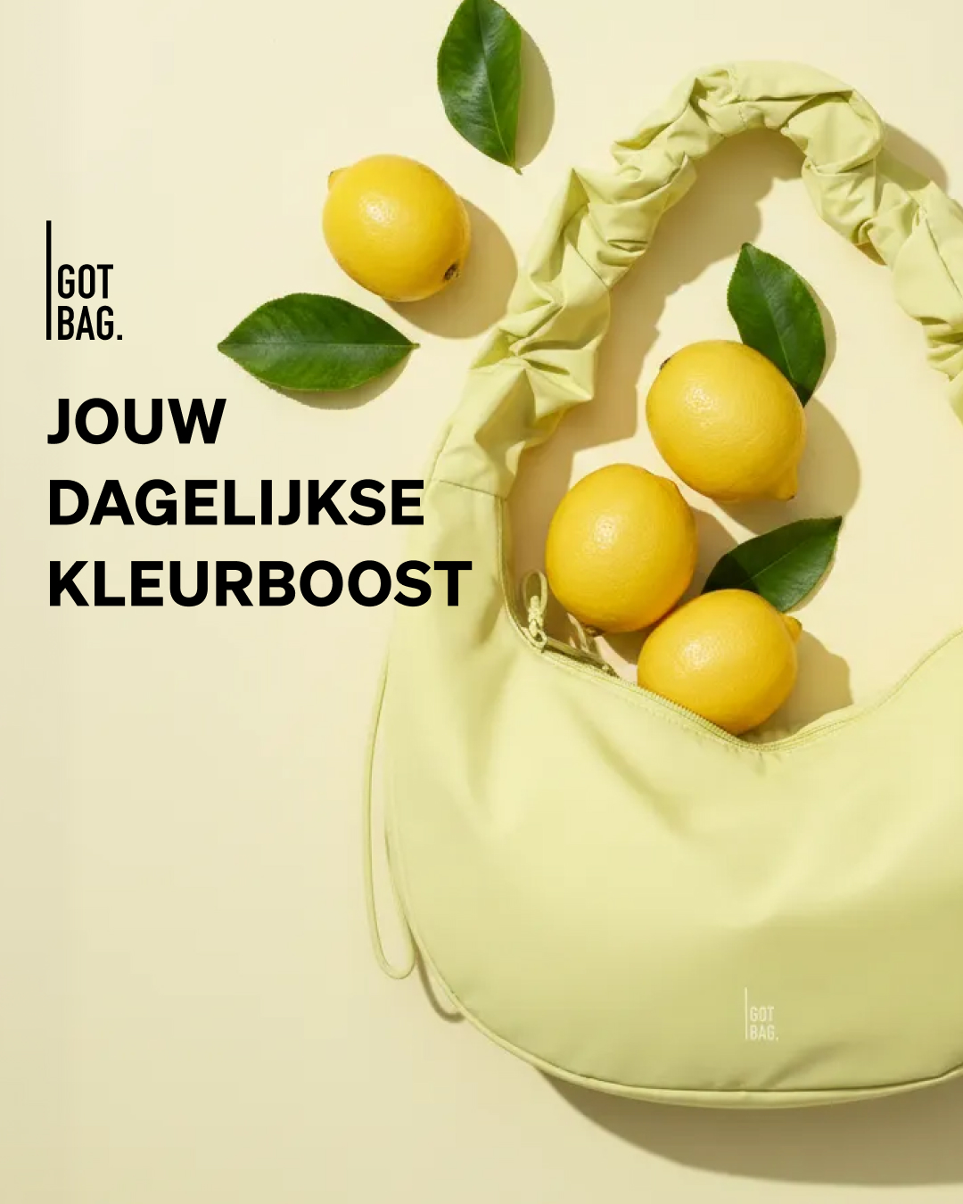 GOT BAG Facebook ad