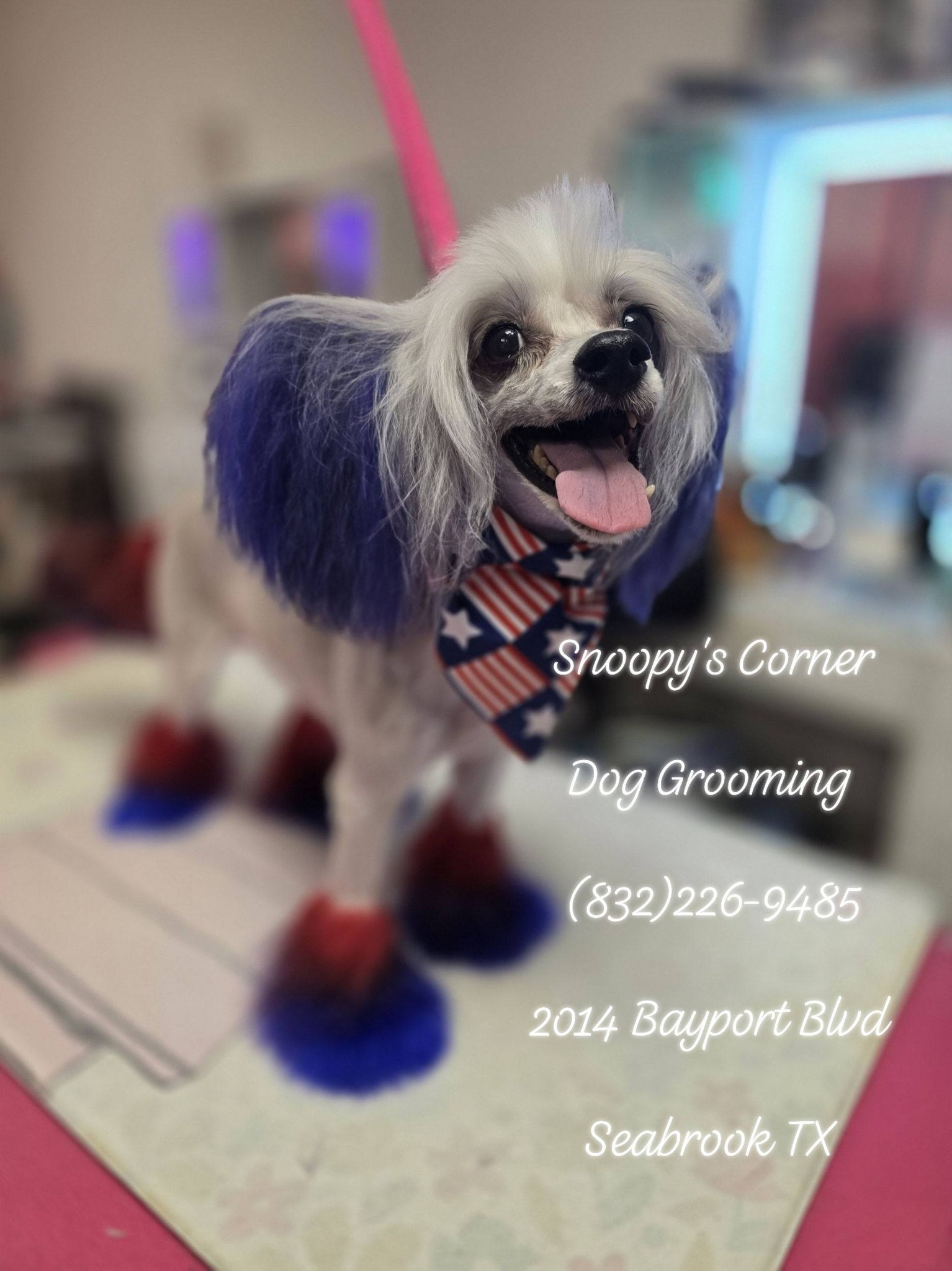 Snoopy's Corner Dog Grooming Facebook ad