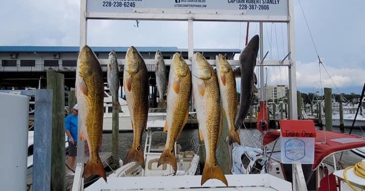 Let’s Go Fishing Charter and Guide Services Facebook ad