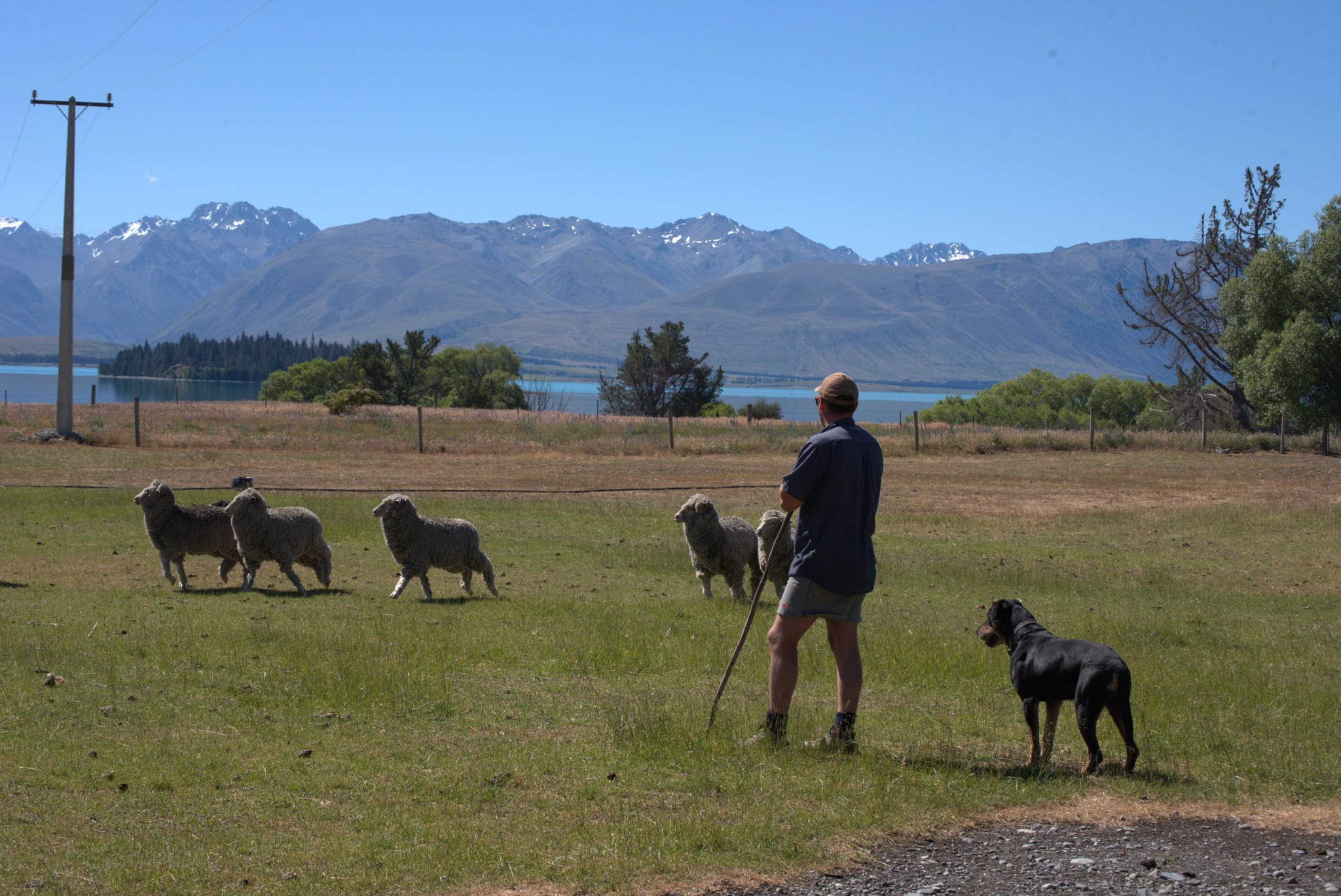 Mt Hay Station Facebook ad: **Discover the Magic of Mt Hay Farm!**