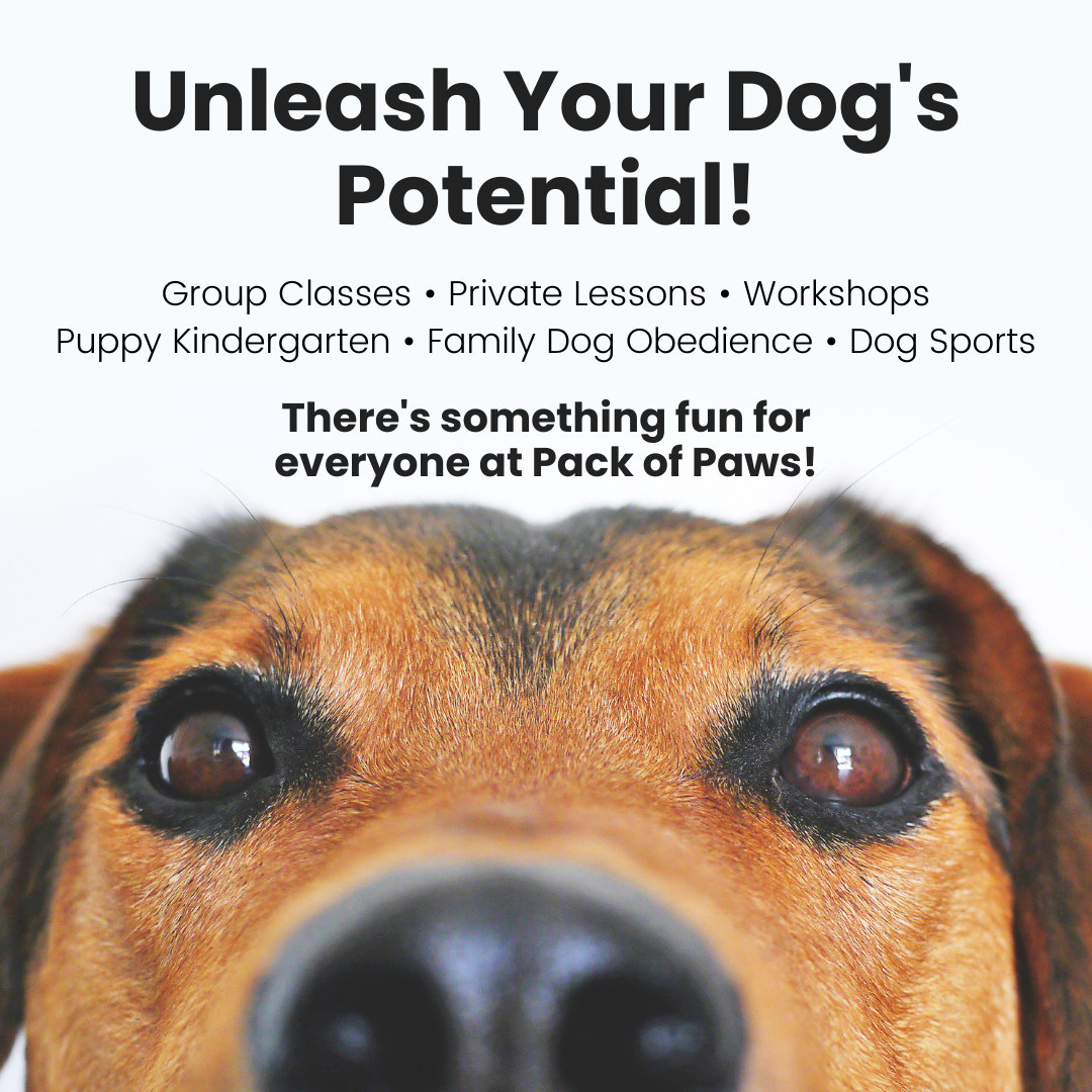 Pack of Paws Dog Training Facebook ad from Jan 5, 2026