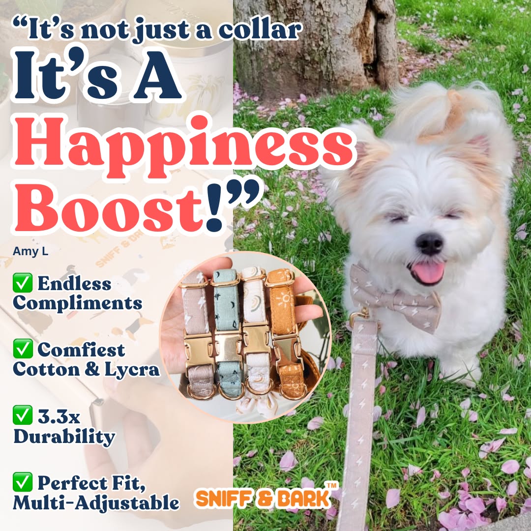 Sniff & Bark Facebook ad