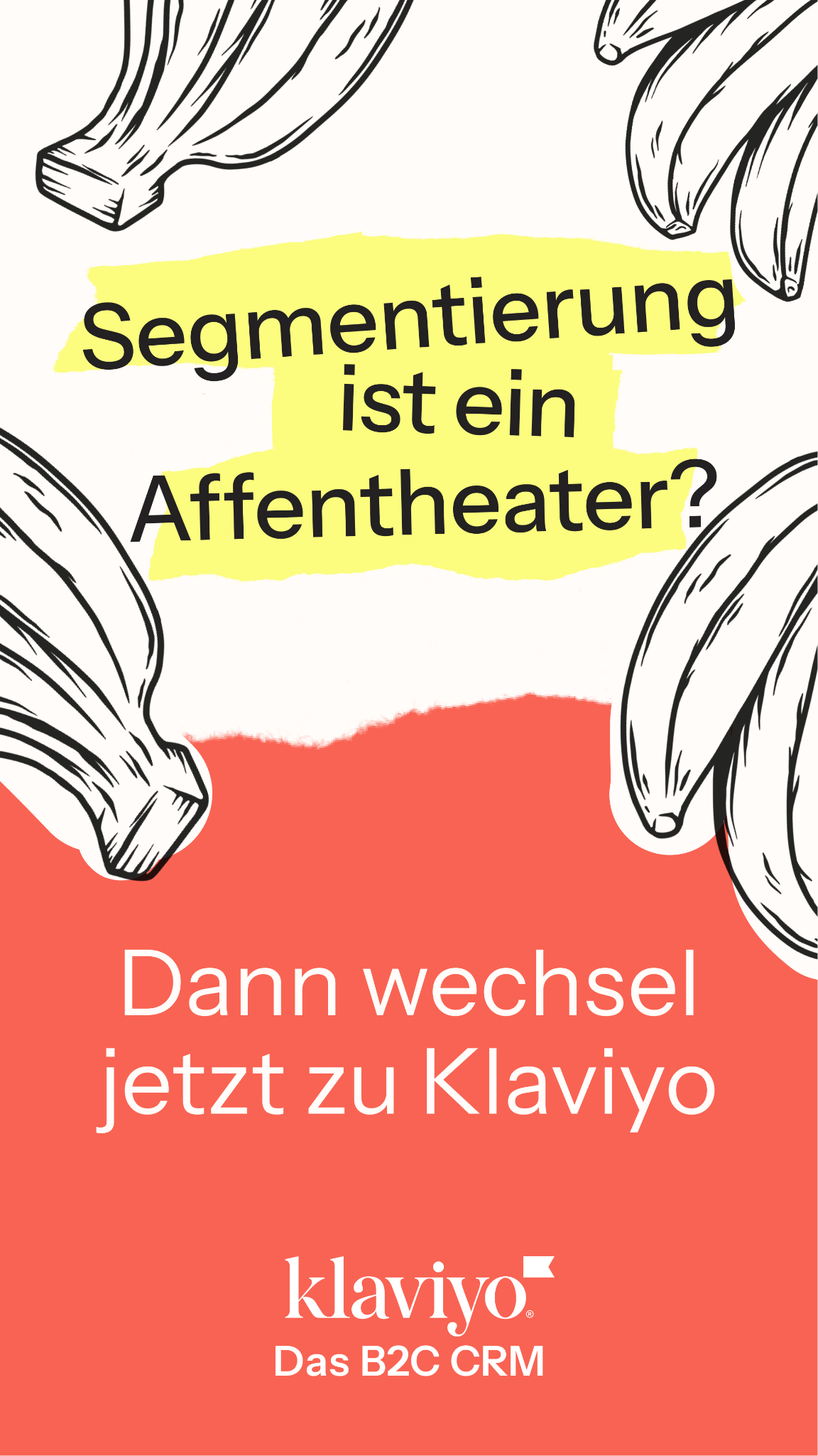 Klaviyo Facebook ad