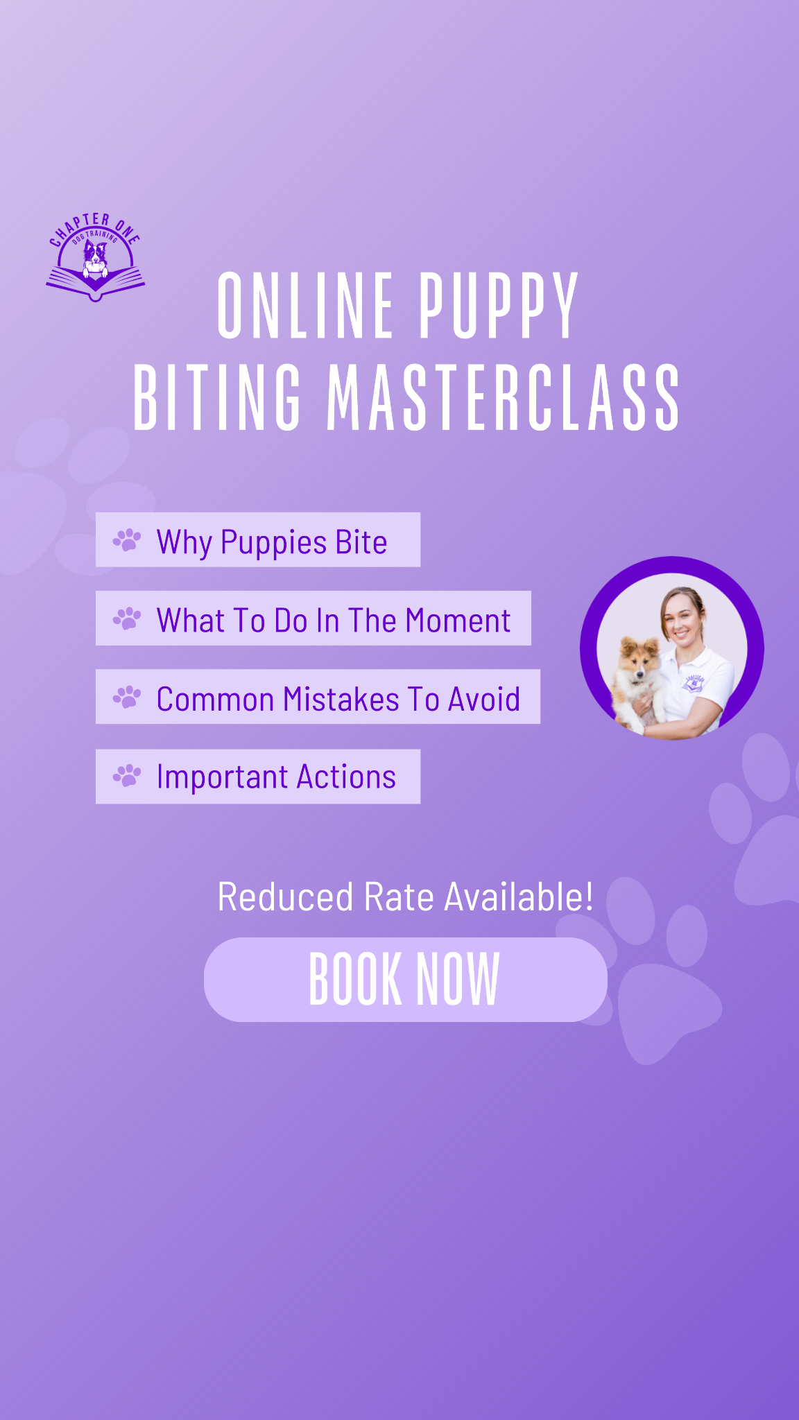 Chapter One Dog Training Facebook ad