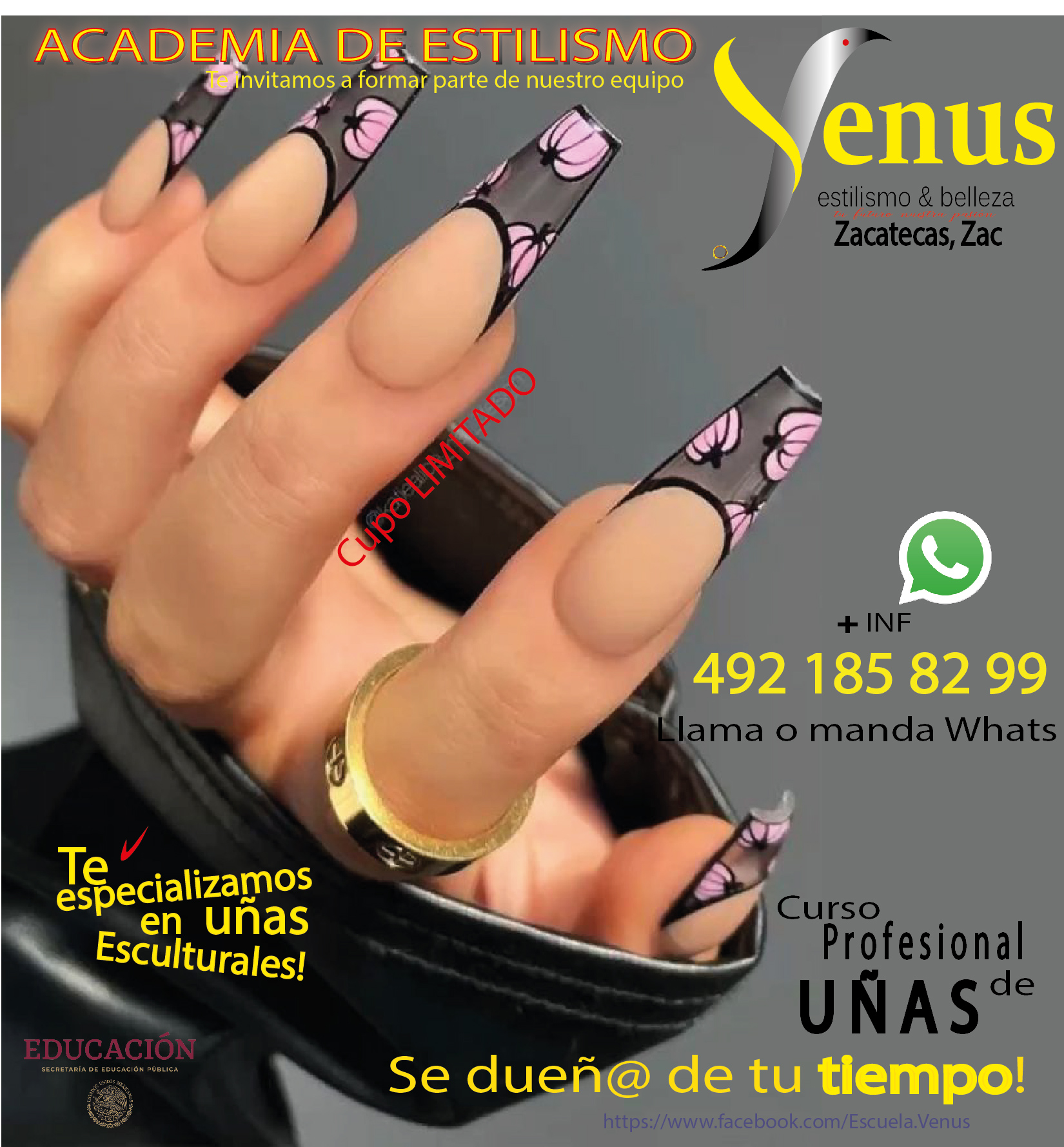 Venus Zacatecas Academia de estilismo y lashes Facebook ad: Comienza a Generar Ingresos desde el primer mes!