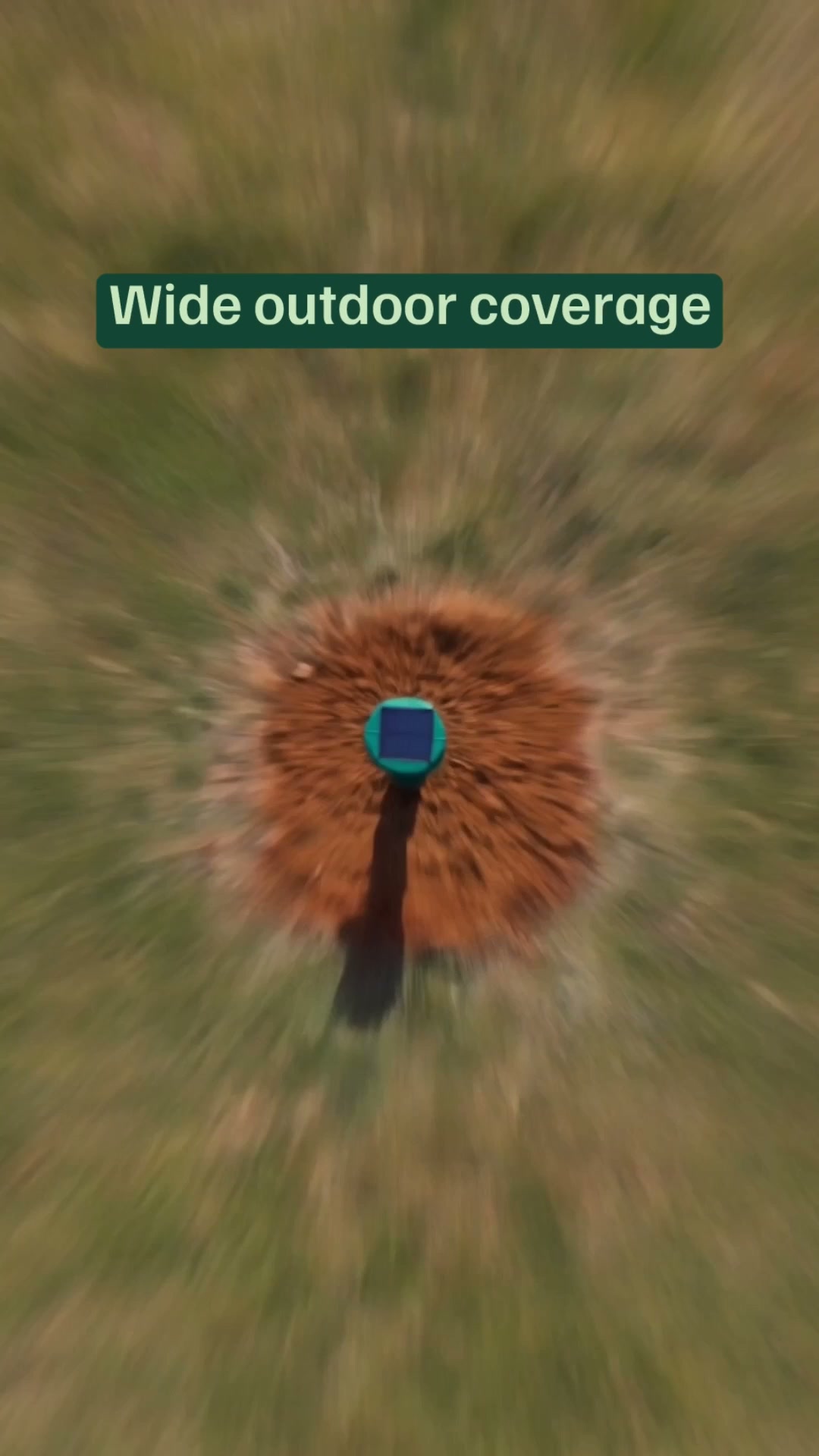 eDog Facebook ad: Australia's #1 Rated Snake Repeller