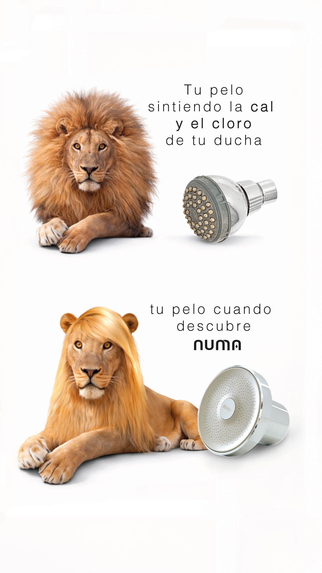 Numa Skin Facebook ad from Feb 4, 2026