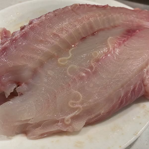 Sophie Fischer Facebook ad: Rohes Fleisch, eine Rechnung wurde fällig