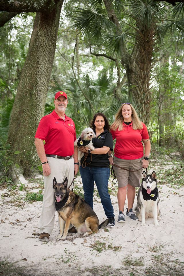 Dog-Eze Training Specialists Facebook ad: Dog Training In Your Home
