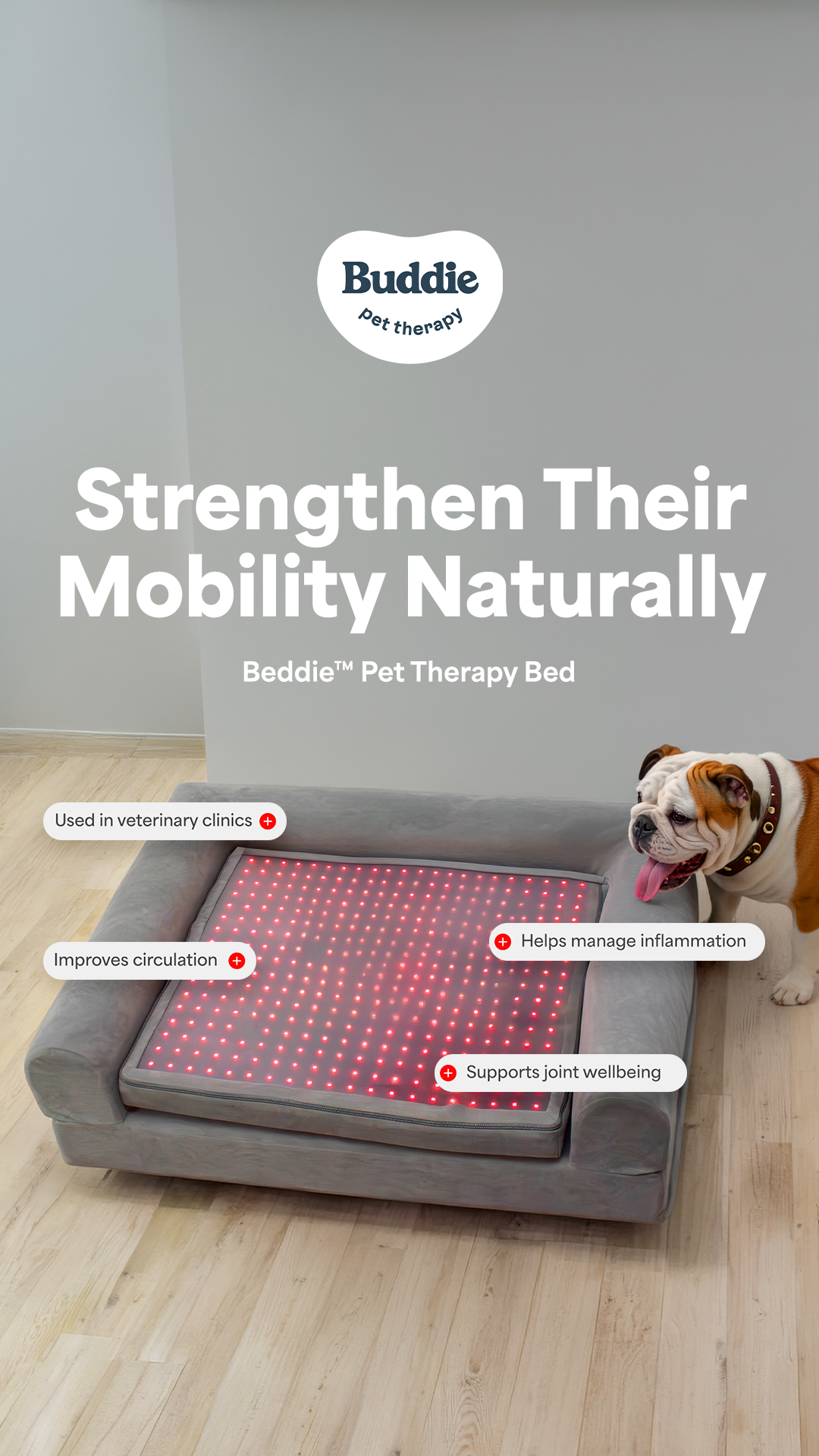 Buddie Pet Therapy Facebook ad