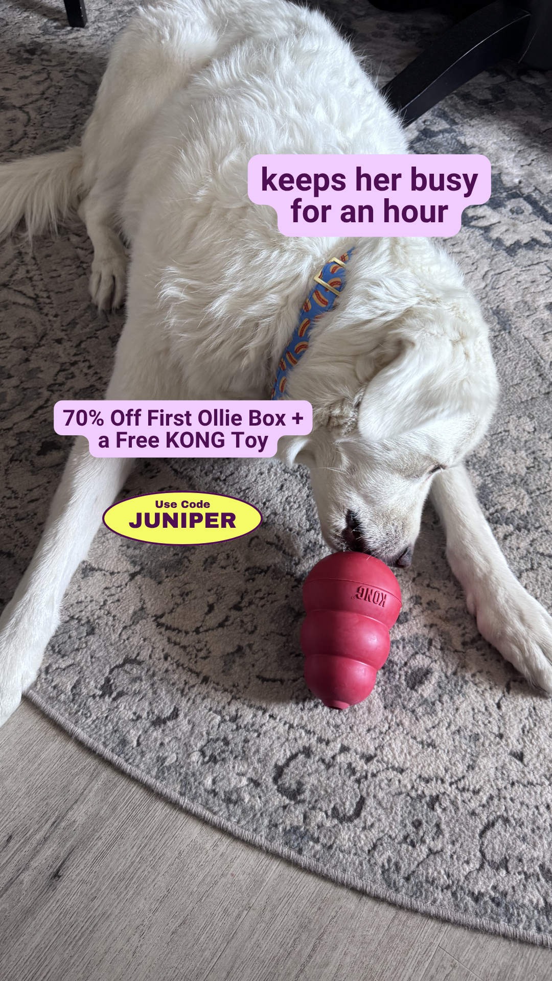 Juniper- The best online community for dog parents Facebook ad