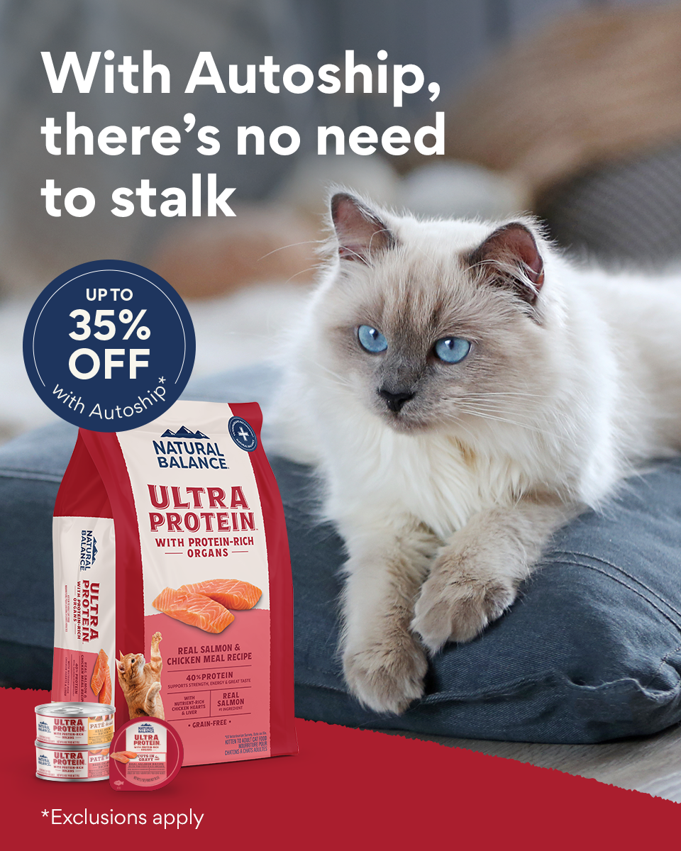 Chewy Facebook ad
