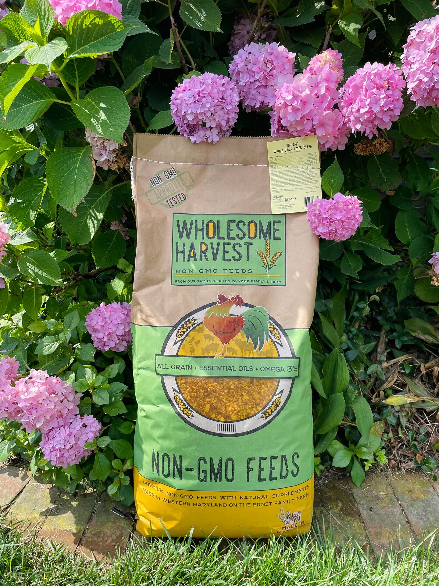Wholesome Harvest Non-GMO Feeds Facebook ad: Ernst Grain & Livestock - Store Locator