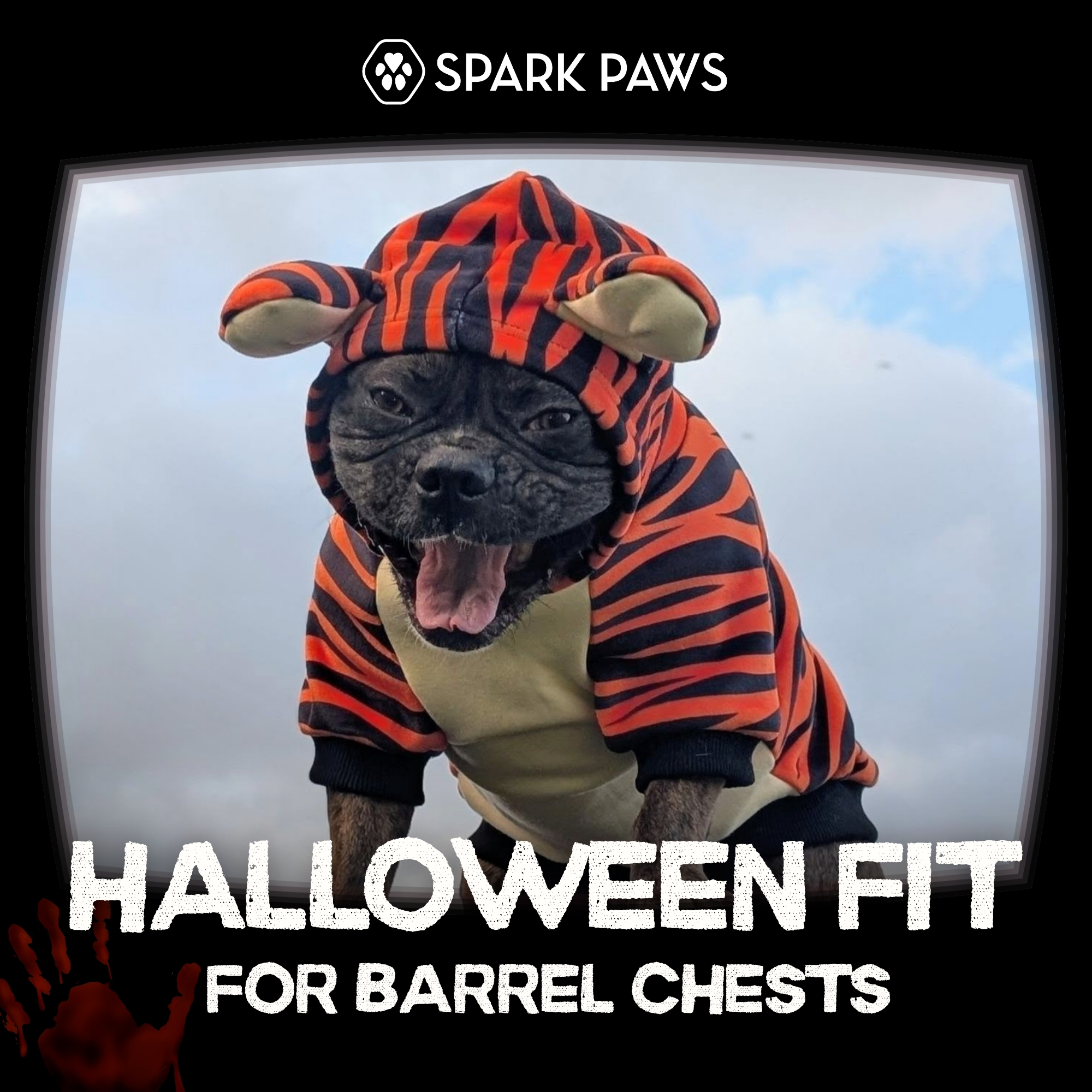 Spark Paws Facebook ad