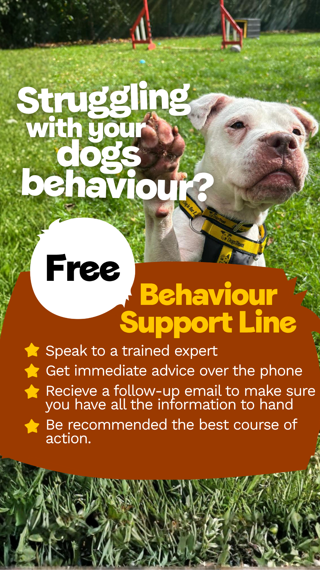 Dogs Trust Facebook ad