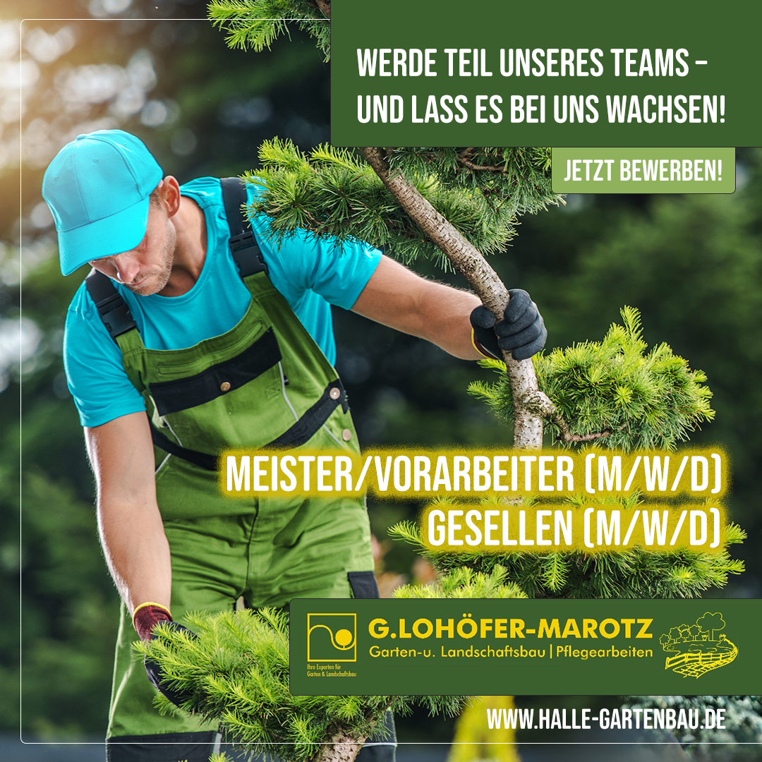 Gerd Lohöfer-Marotz Garten u. Landschaftsbau Facebook ad from Nov 25, 2025