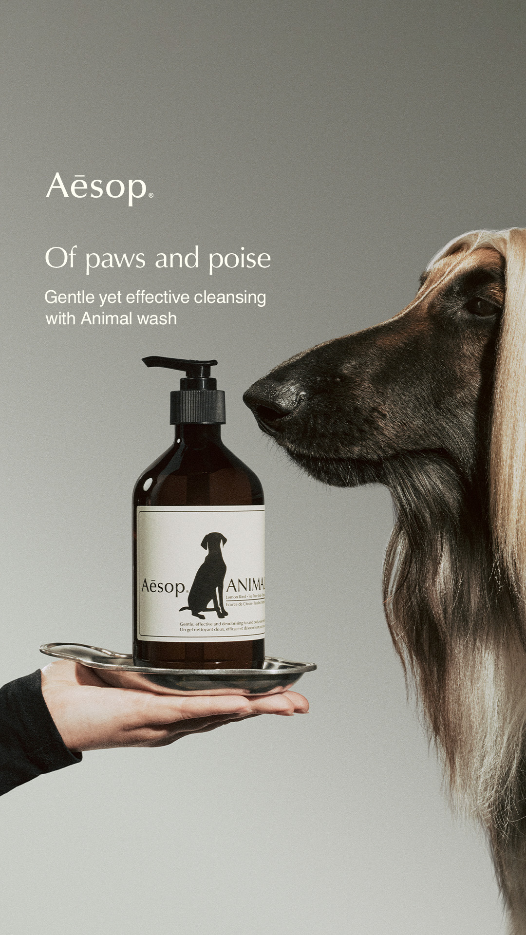 Aesop Facebook ad
