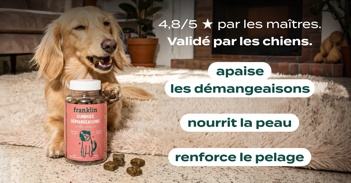 Franklin Pet Food Facebook ad