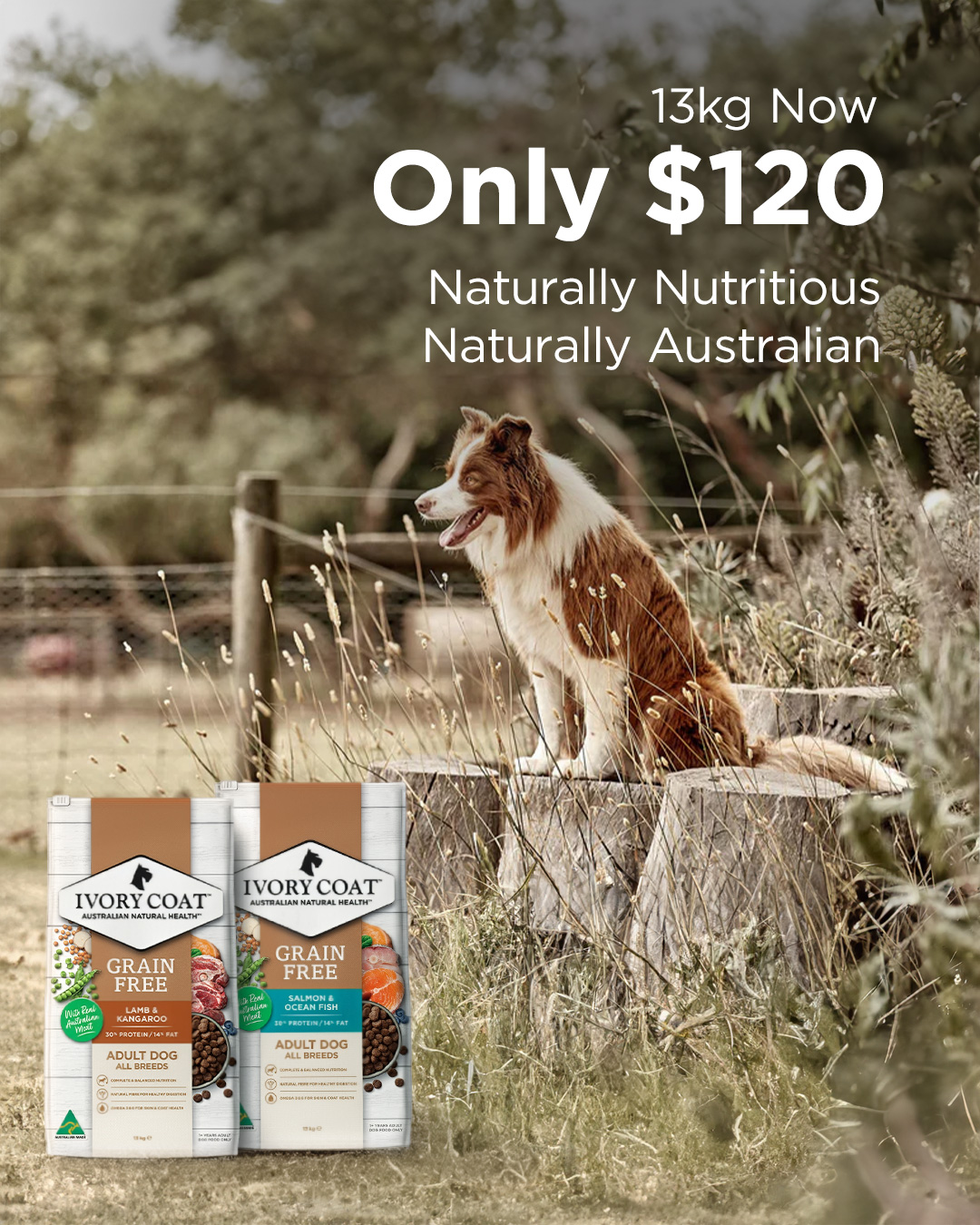 Budget Pet Products Facebook ad