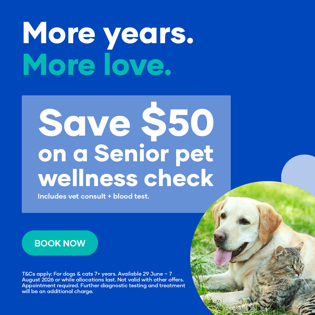 Animates Vetcare NZ Facebook ad: More Years, More Love