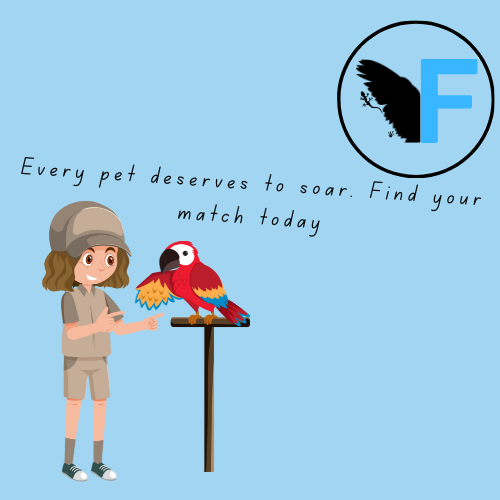 Finding my Wings Facebook ad