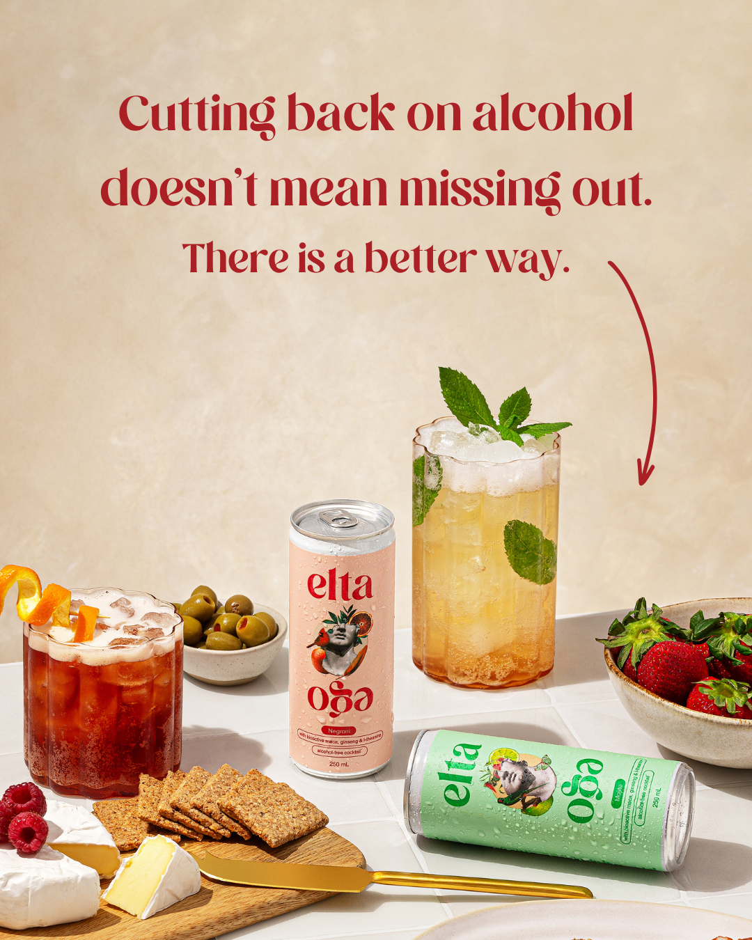 Elta Ego Facebook ad: Socialise and relax without booze