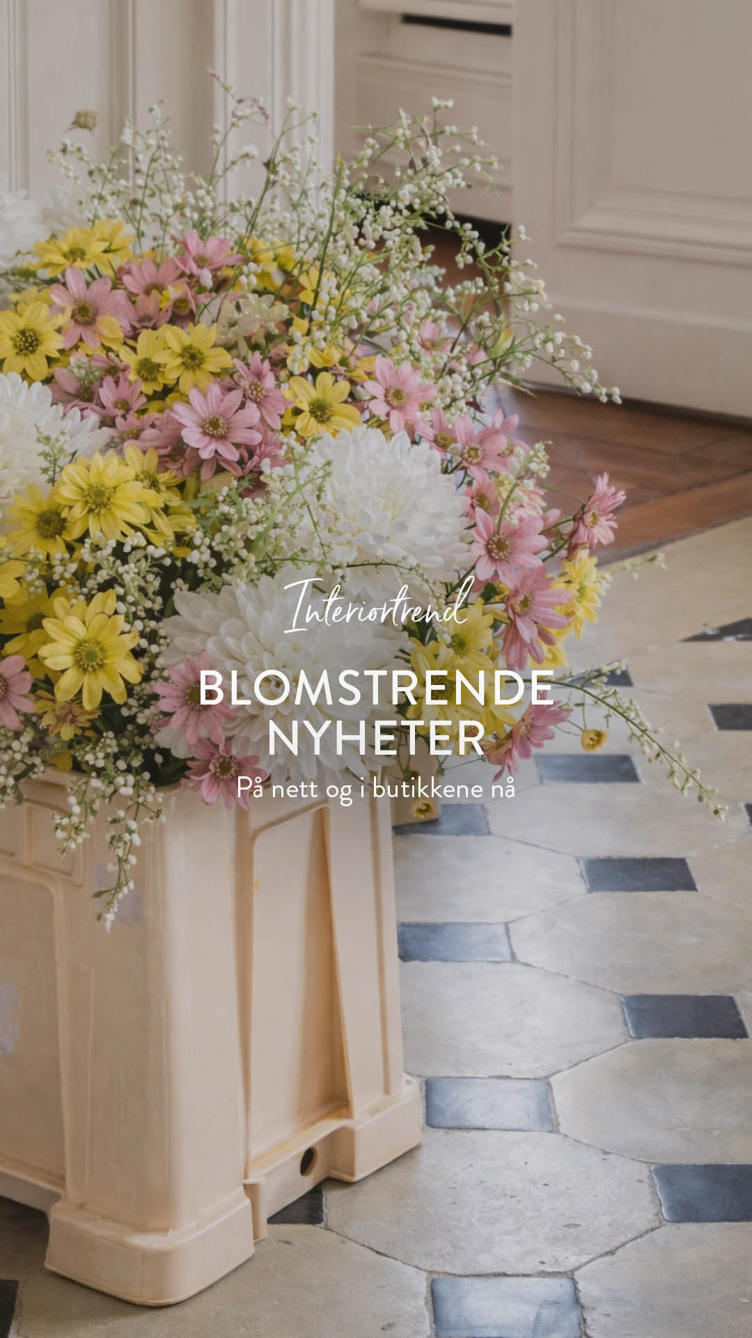 Søstrene Grene Facebook ad