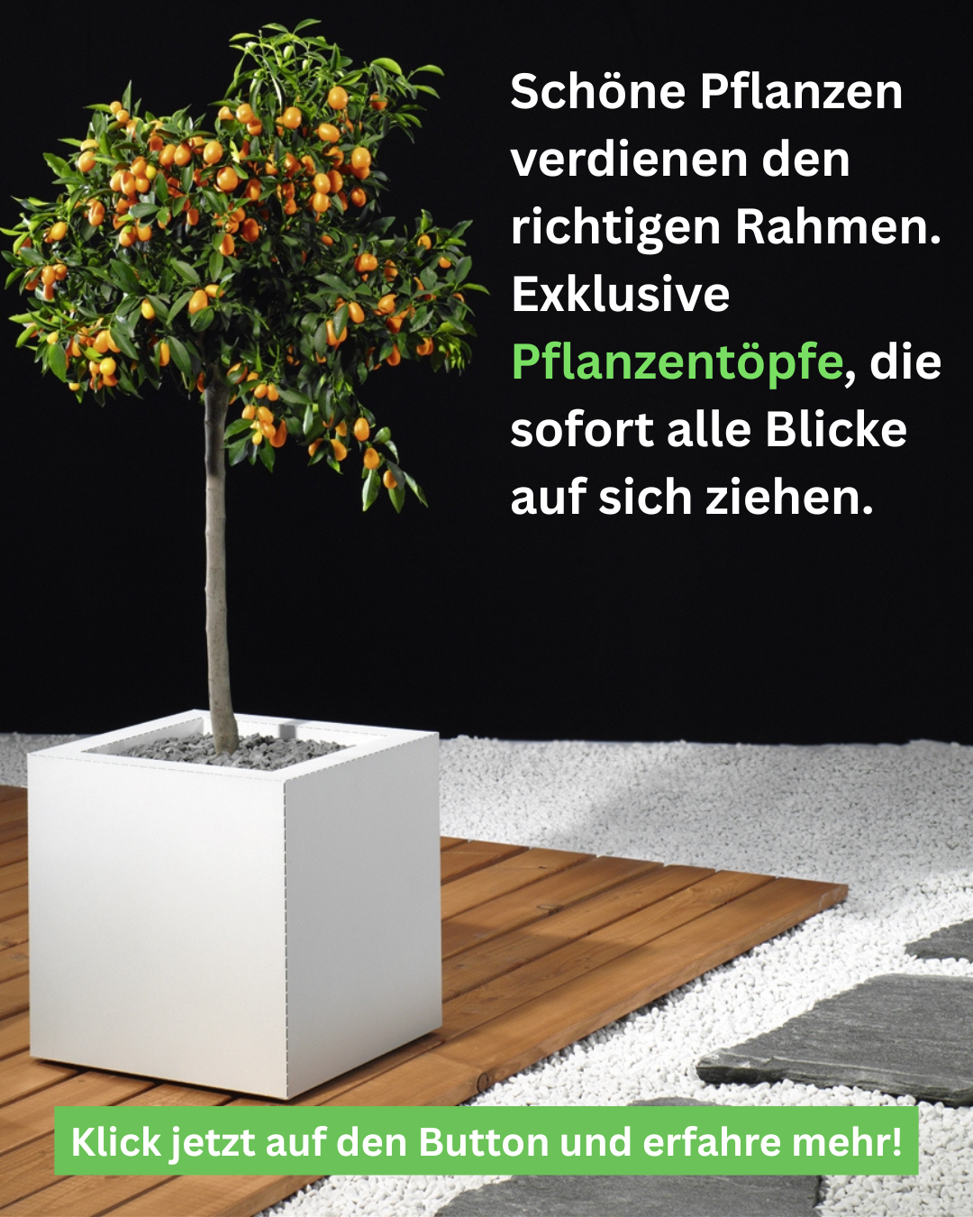 Zaugg Projekt AG Facebook ad from Apr 7, 2026