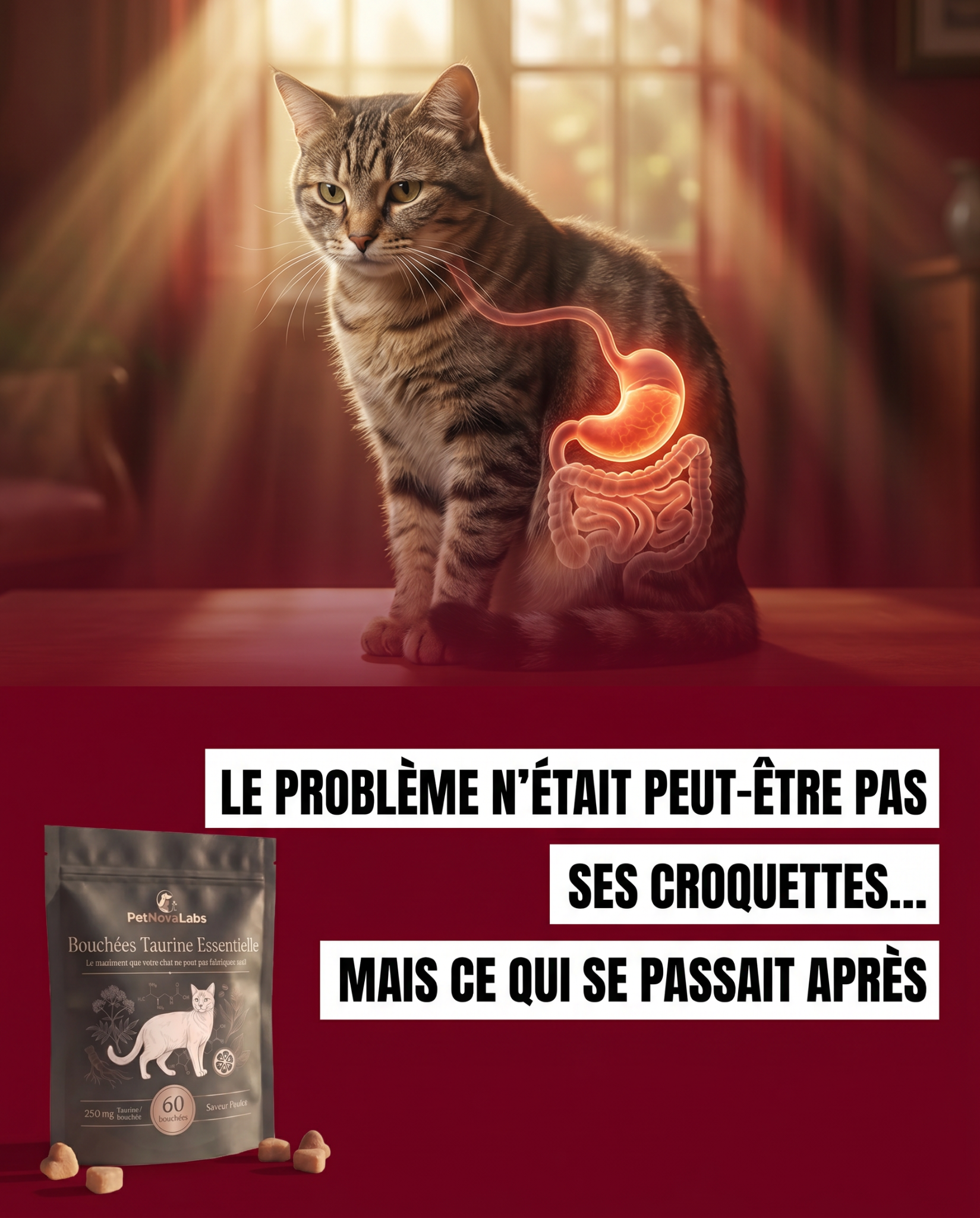 Sophie Martin Facebook ad