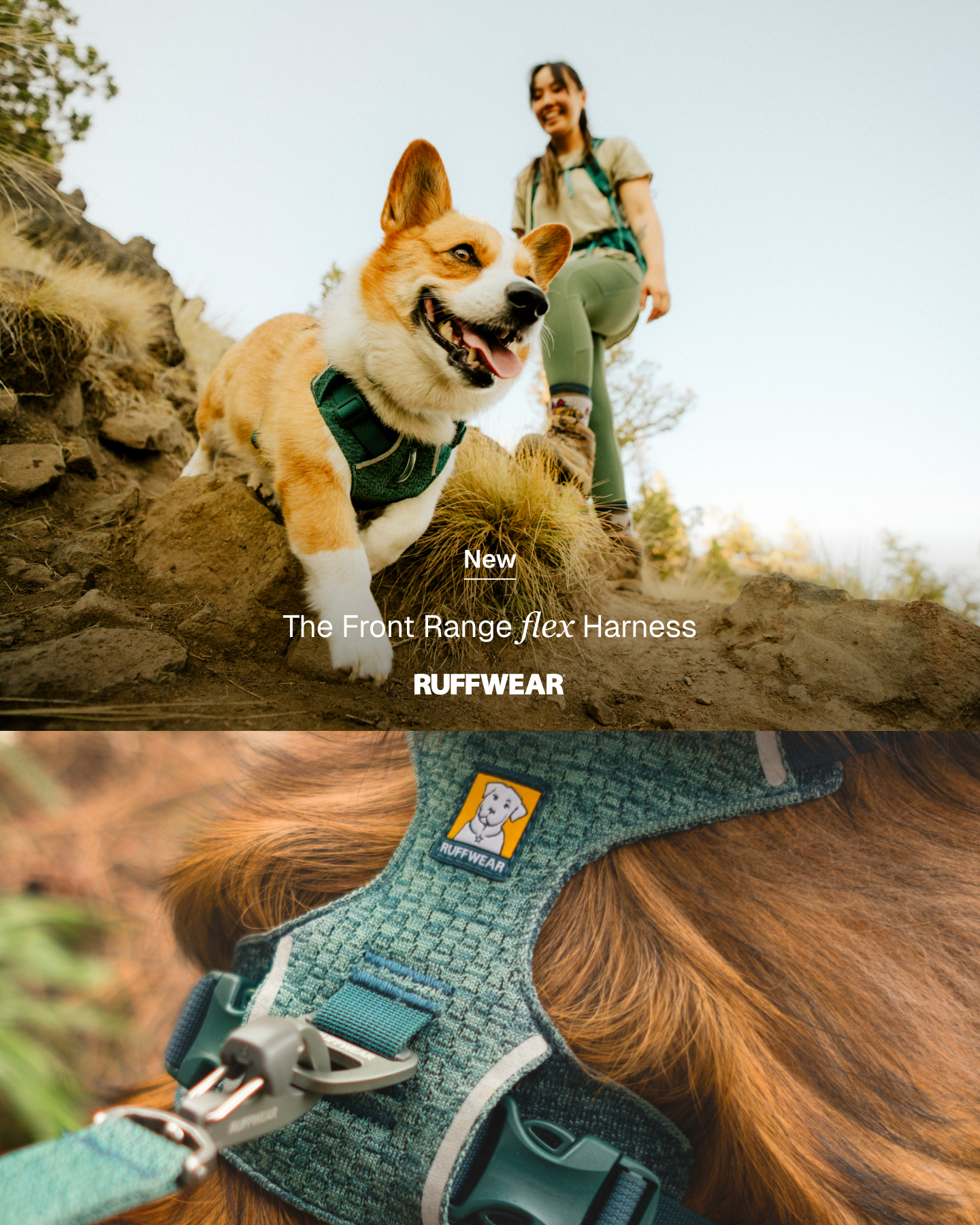 Ruffwear Facebook ad