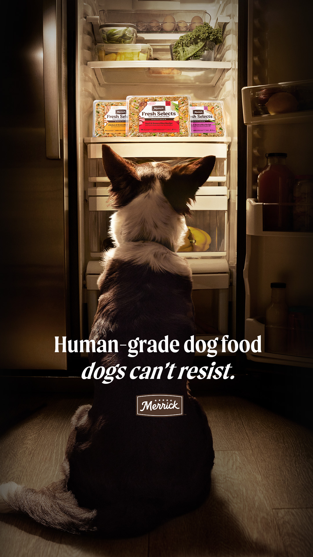 Merrick Pet Care Facebook ad
