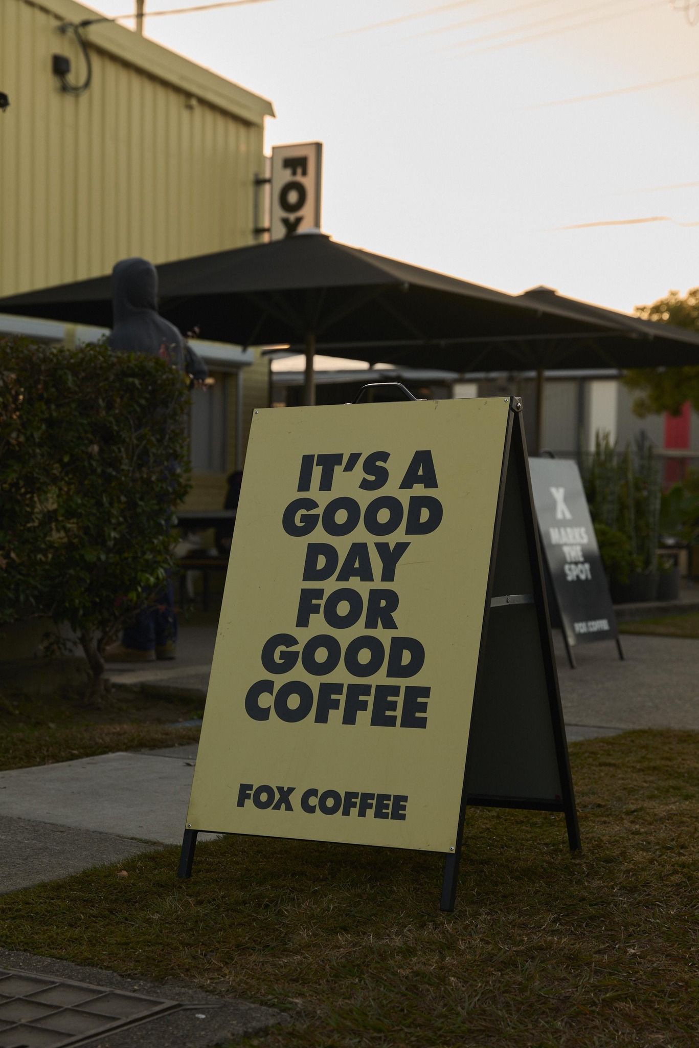 Fox Coffee Facebook ad