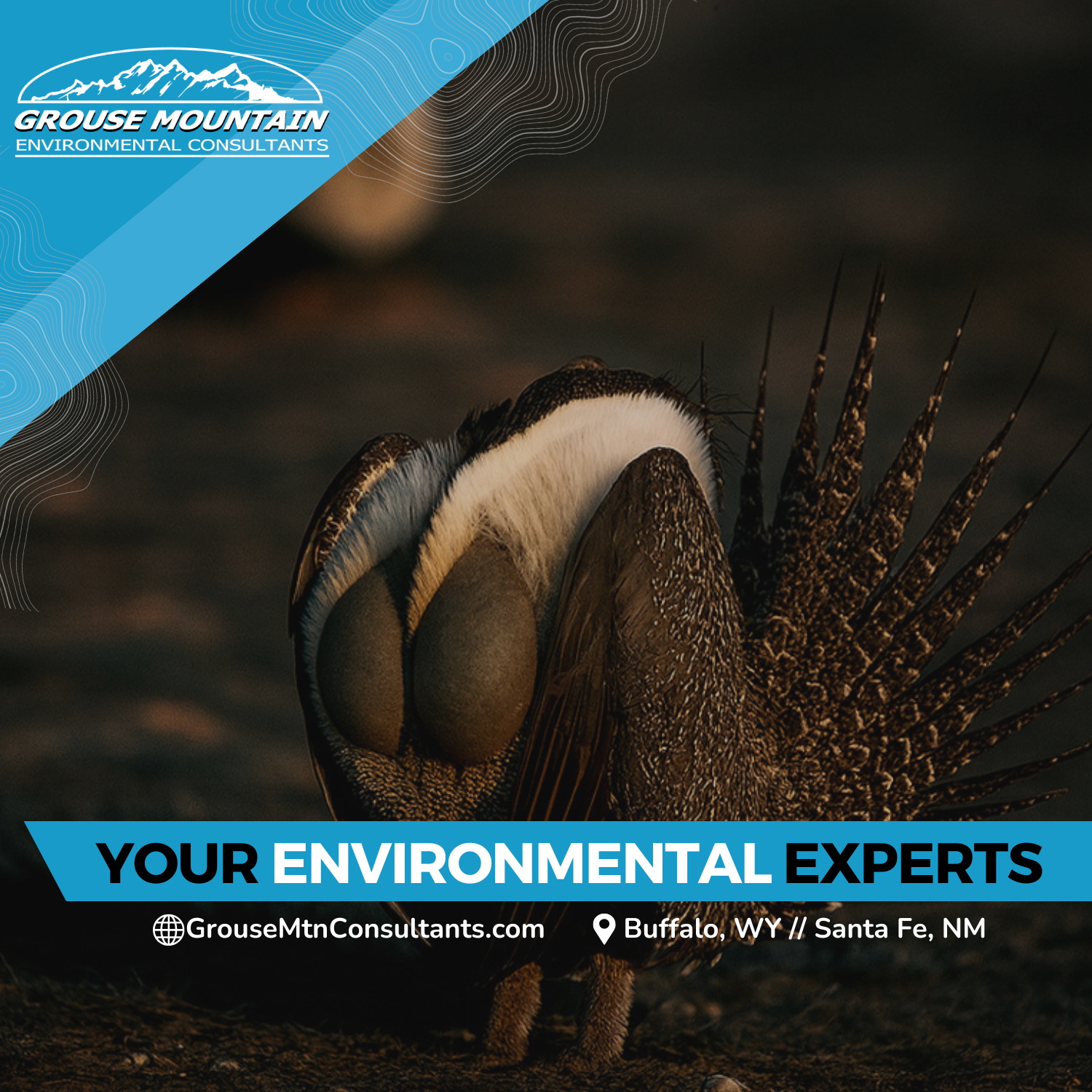 Grouse Mountain Environmental Consultants Facebook ad