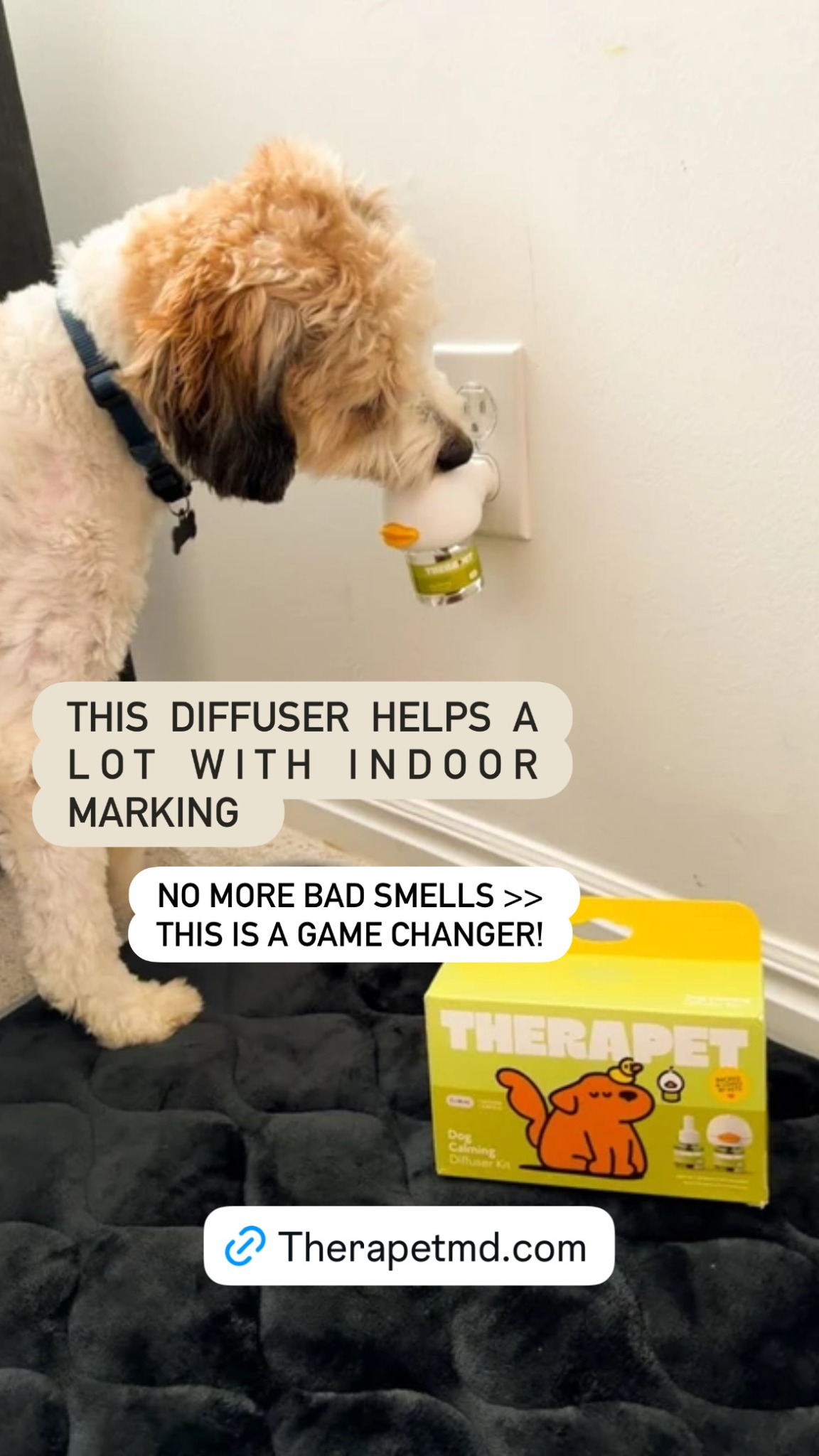 piggiebully Facebook ad