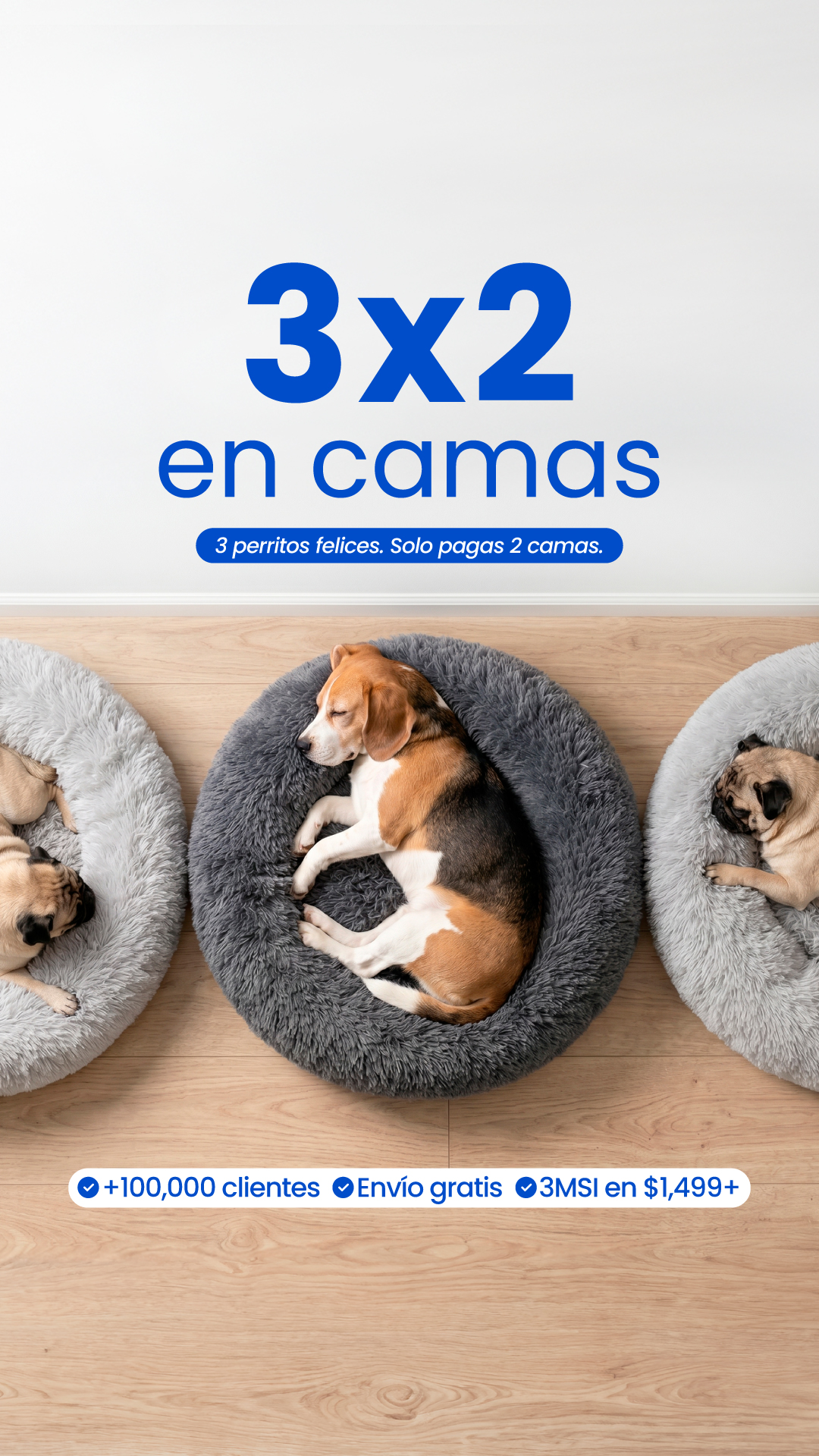 Furbedz Facebook ad