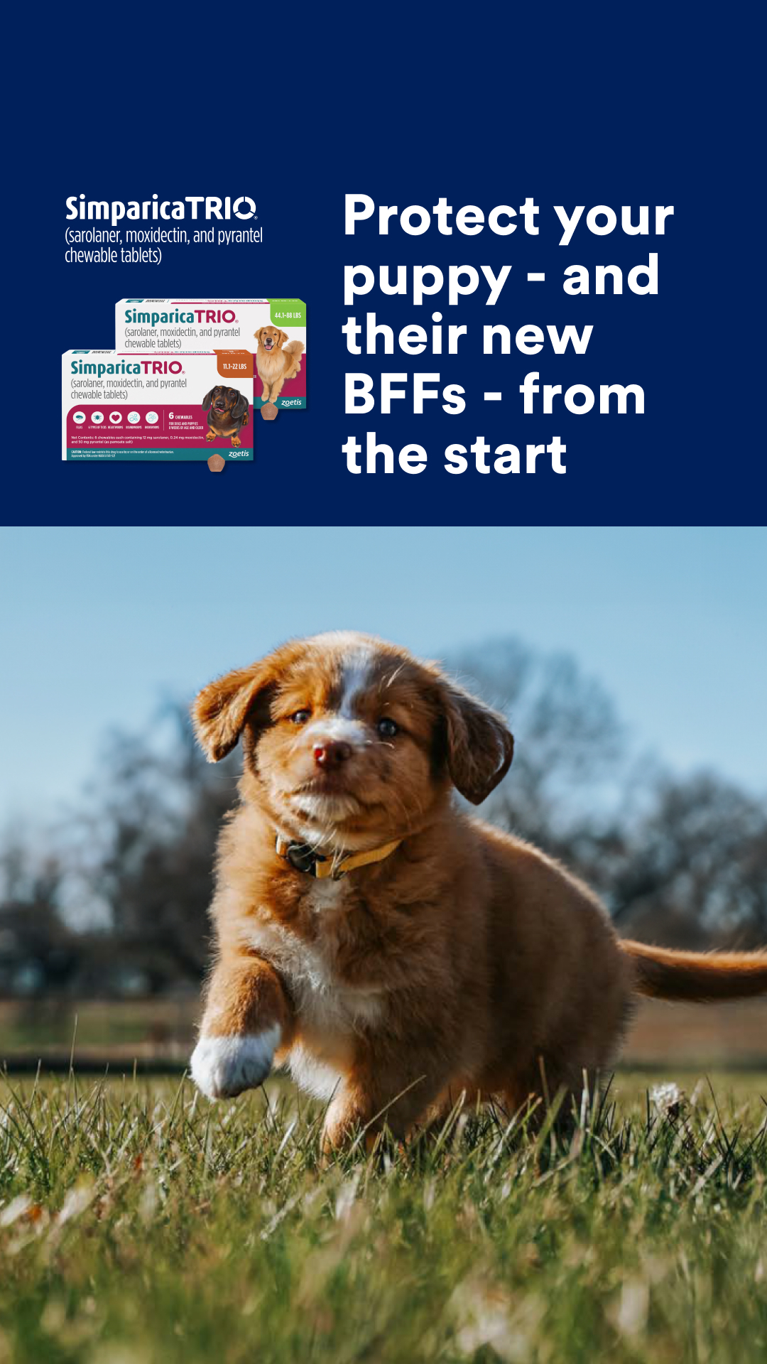 Petco Facebook ad