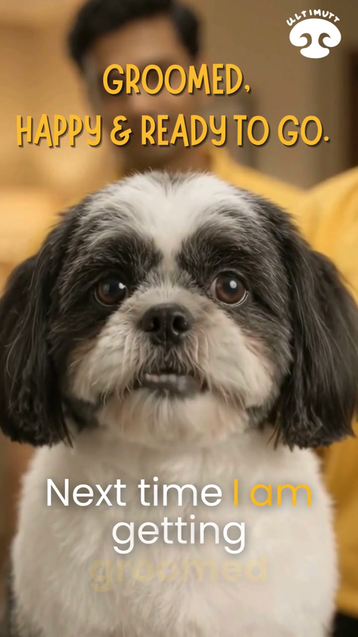 Ultimutt Pet services Facebook ad: Your pet deserves a fresh, clean & happy…