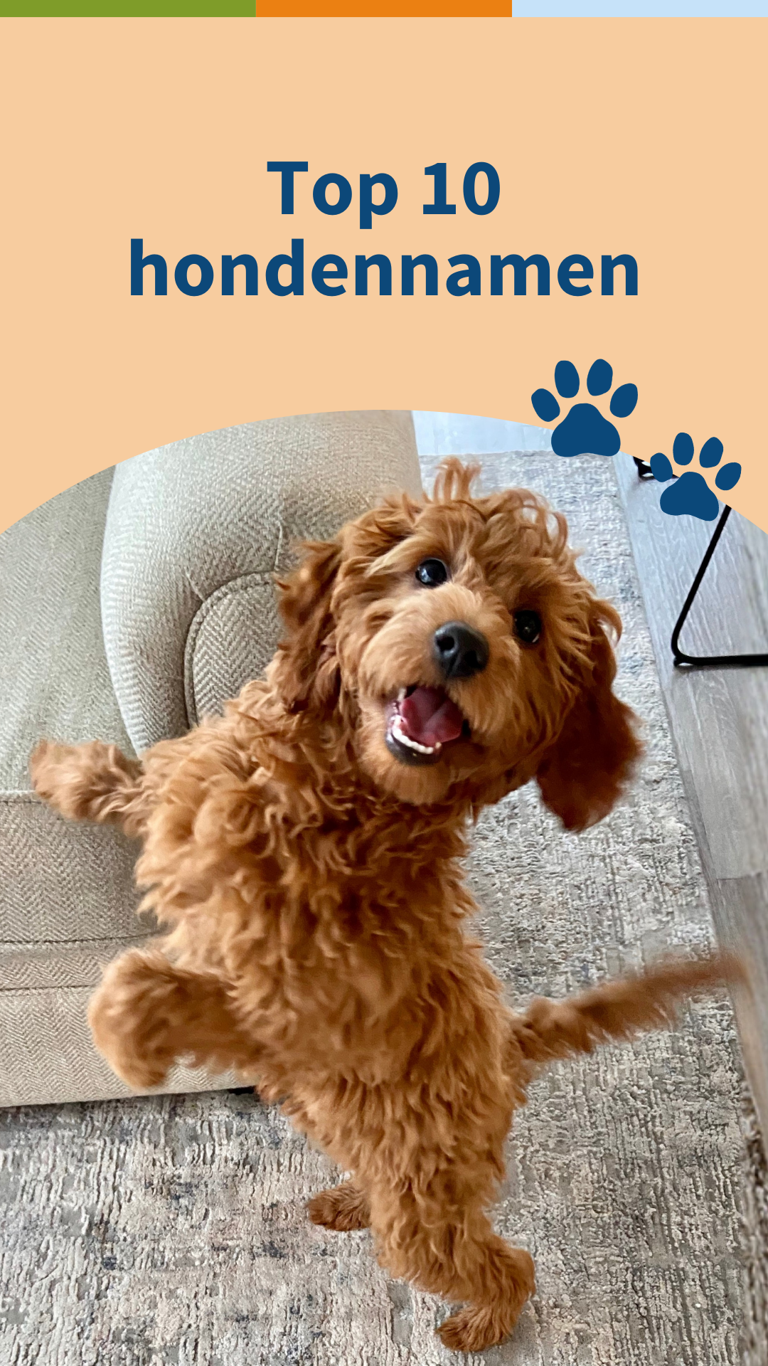 Medpets Facebook ad