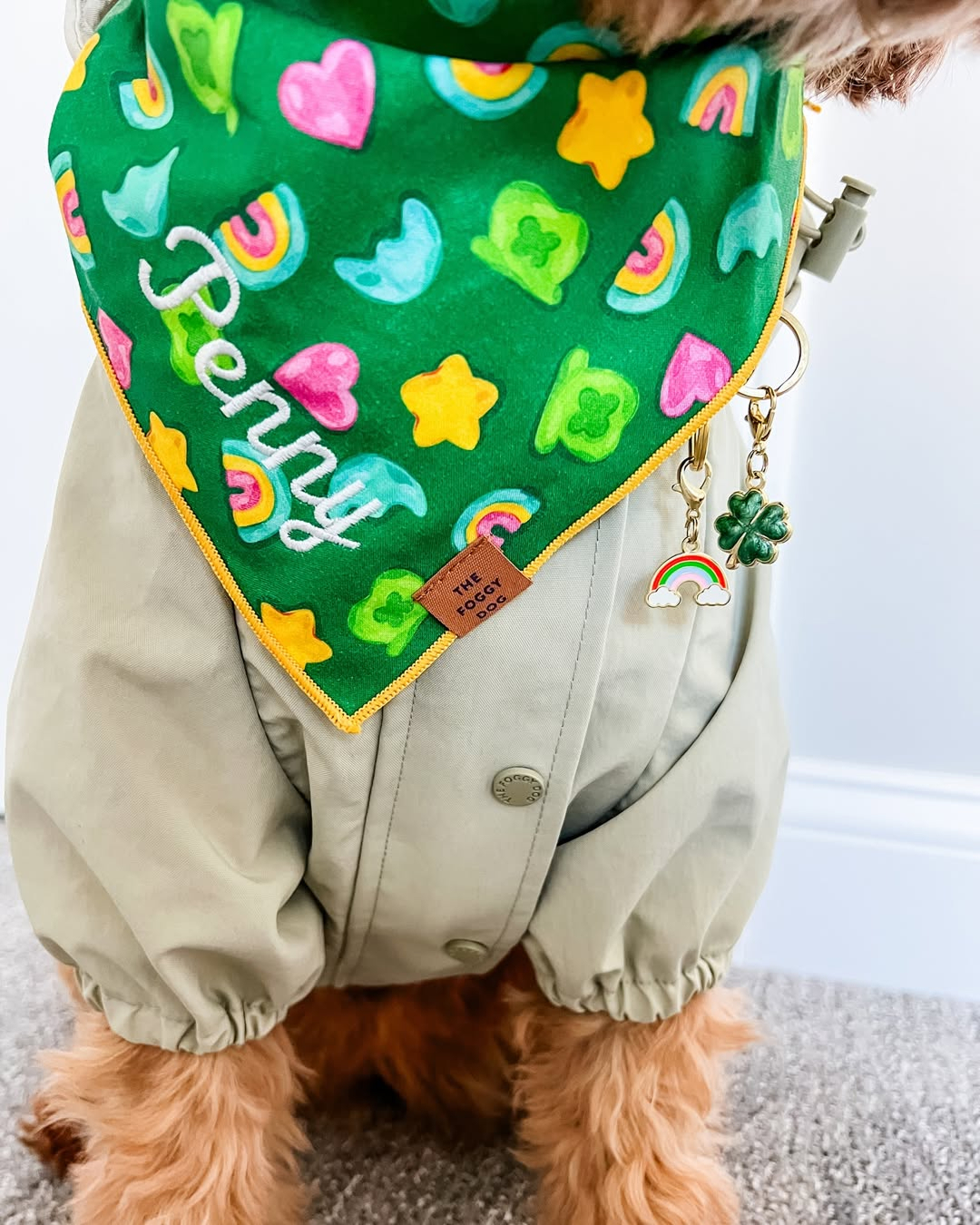 The Foggy Dog Facebook ad