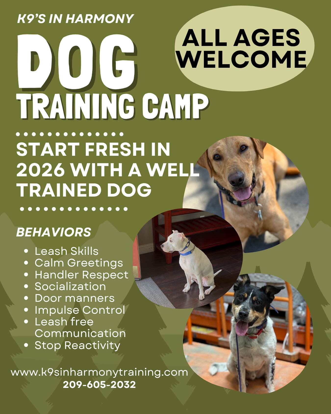 K9's In Harmony Dog Training Facebook ad: Hey friends
