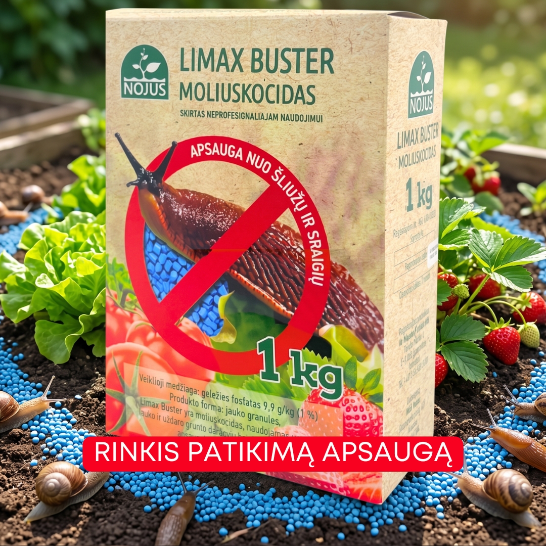Nojaus sėklos Facebook ad
