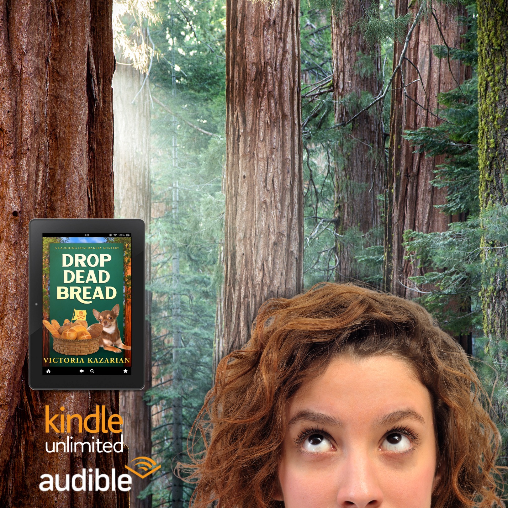 Victoria Kazarian, author Facebook ad: Home - Victoria Kazarian