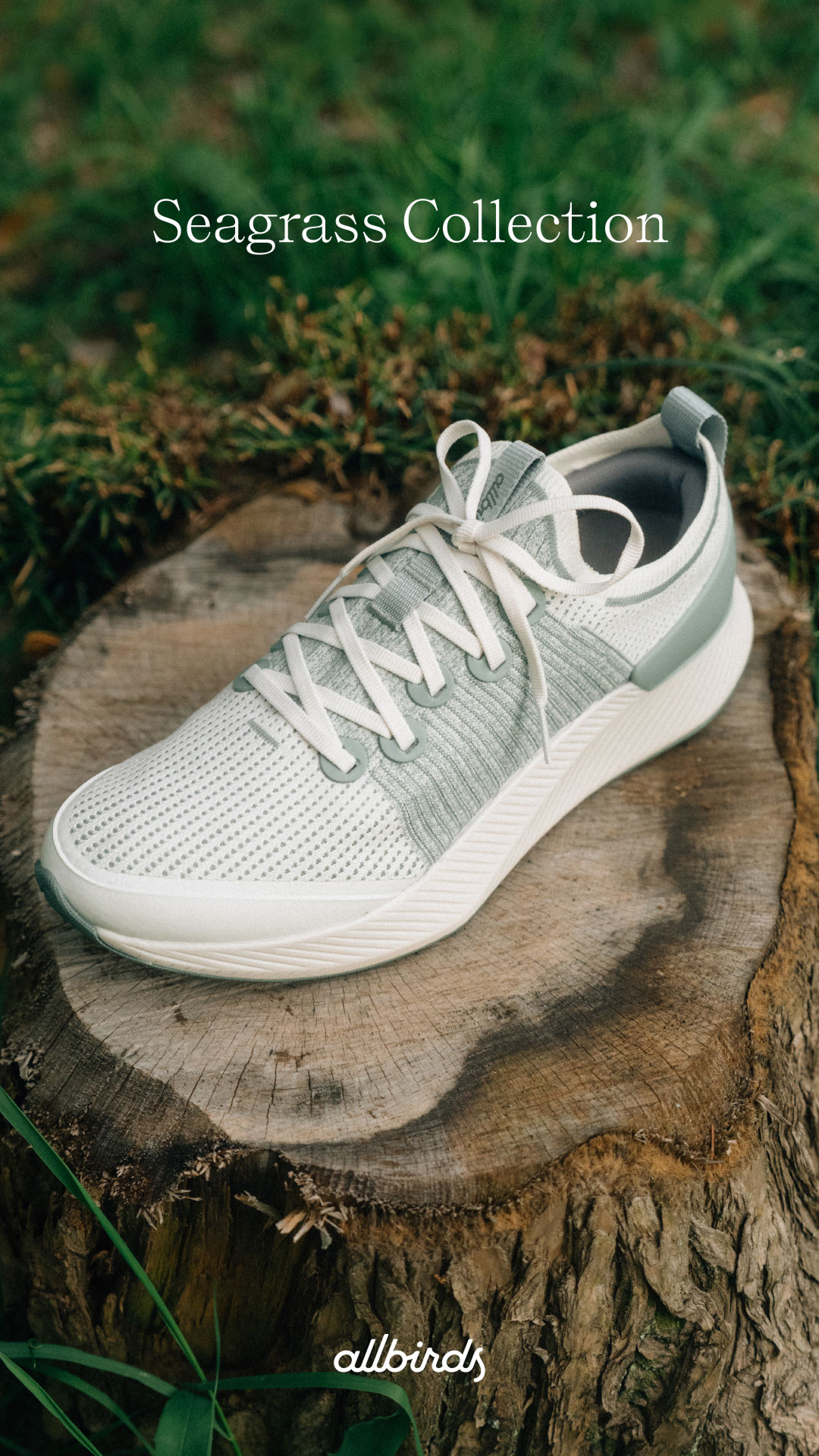 Allbirds Japan Facebook ad